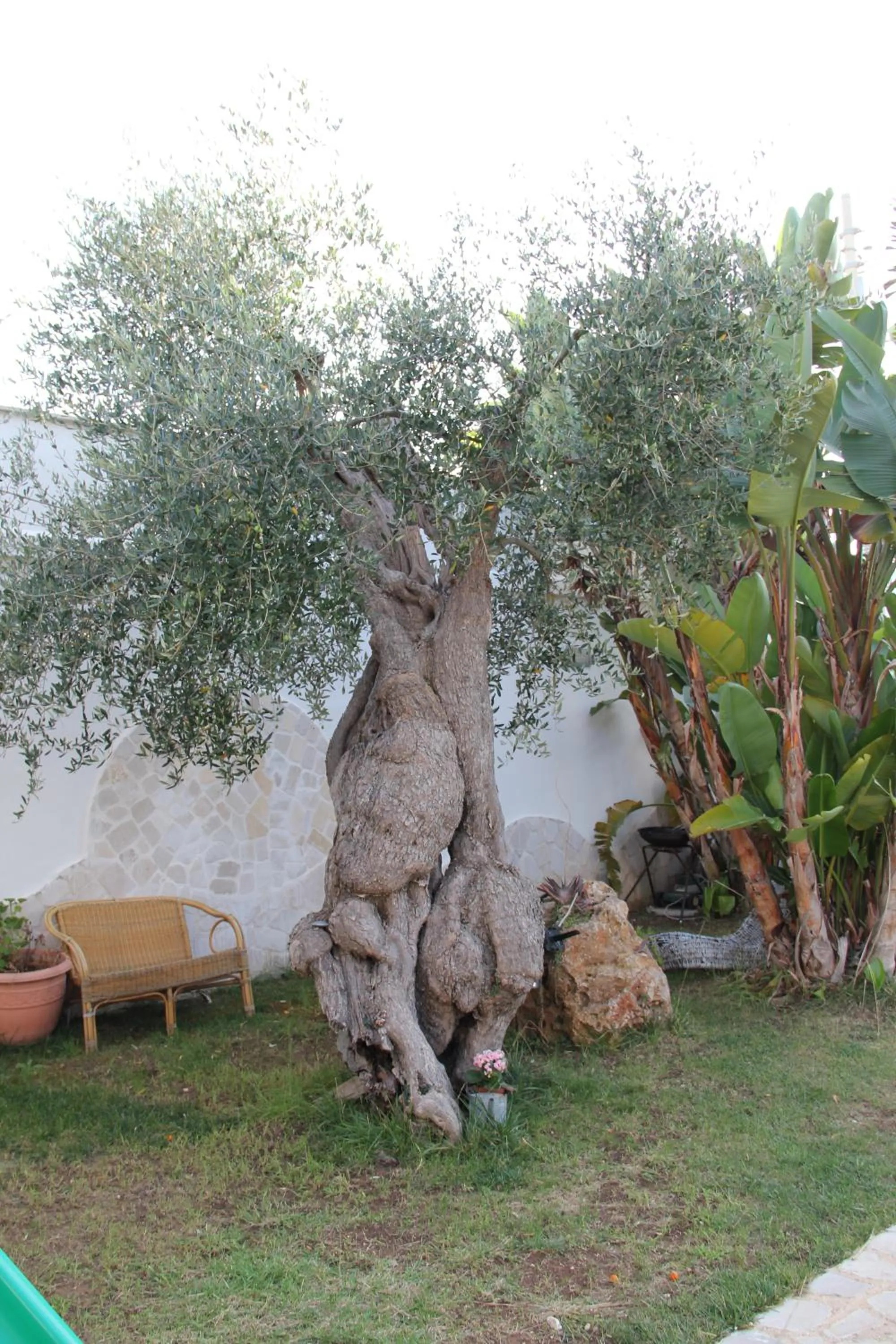 Day in B&B Valentino