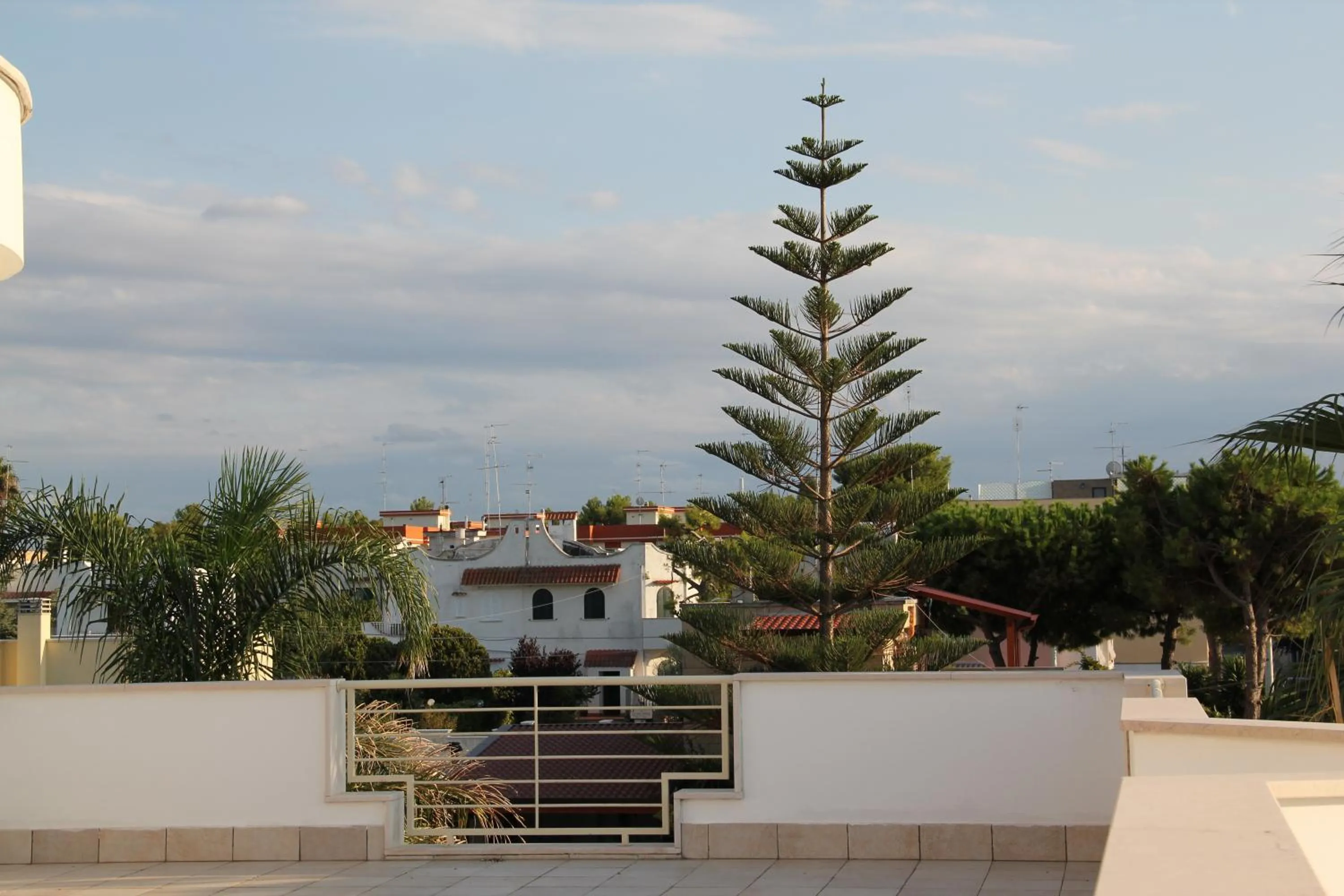 Day in B&B Valentino