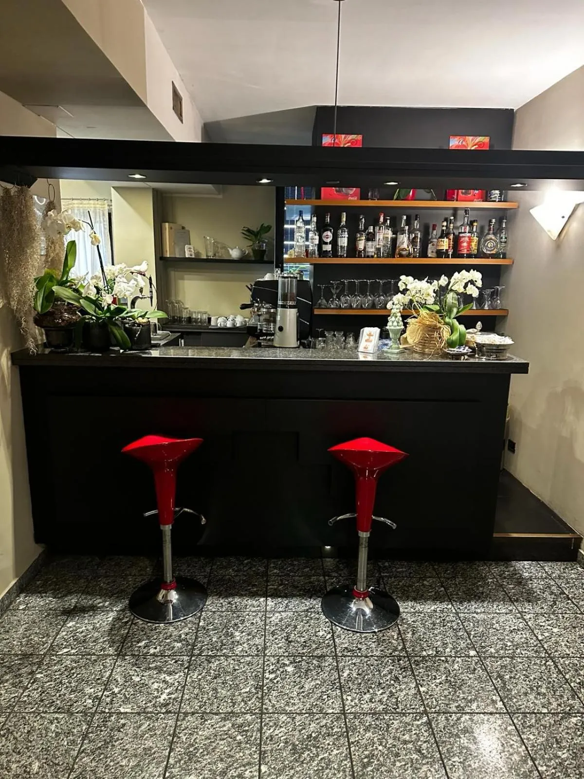 Lounge or bar in Hotel Comtur