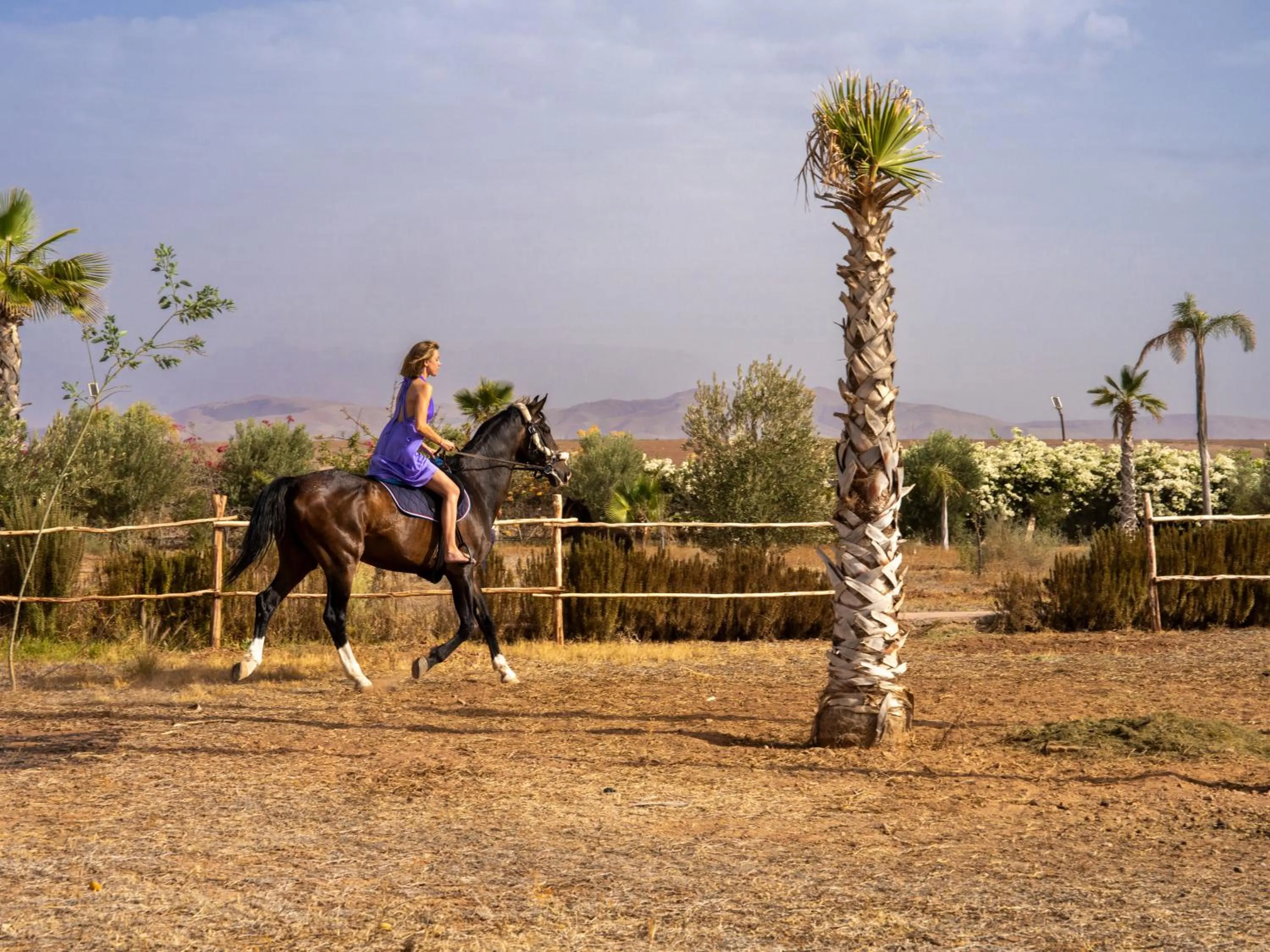 SUMAHAN SUITES & SPA