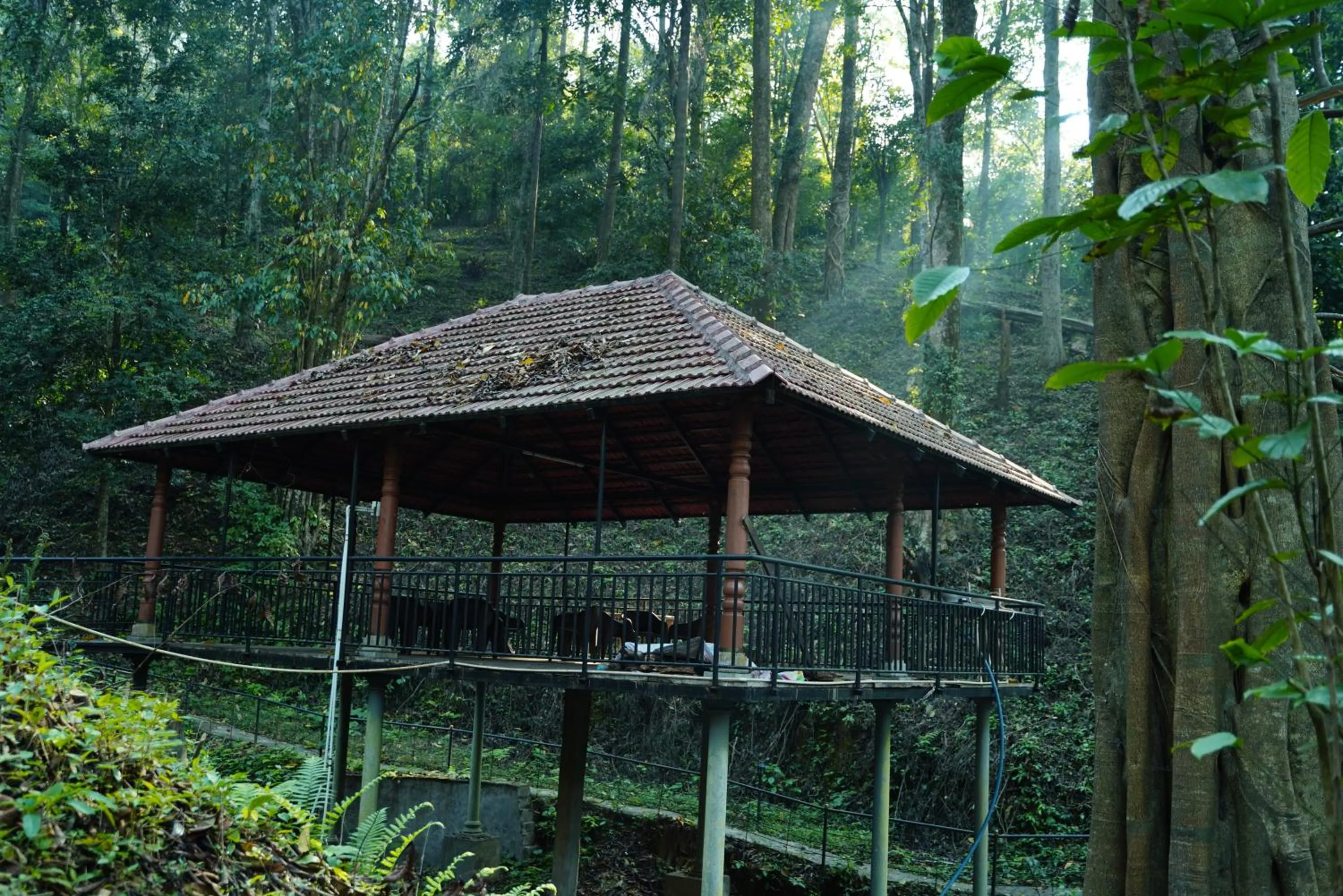 Neighbourhood in Qexperiences Coorg