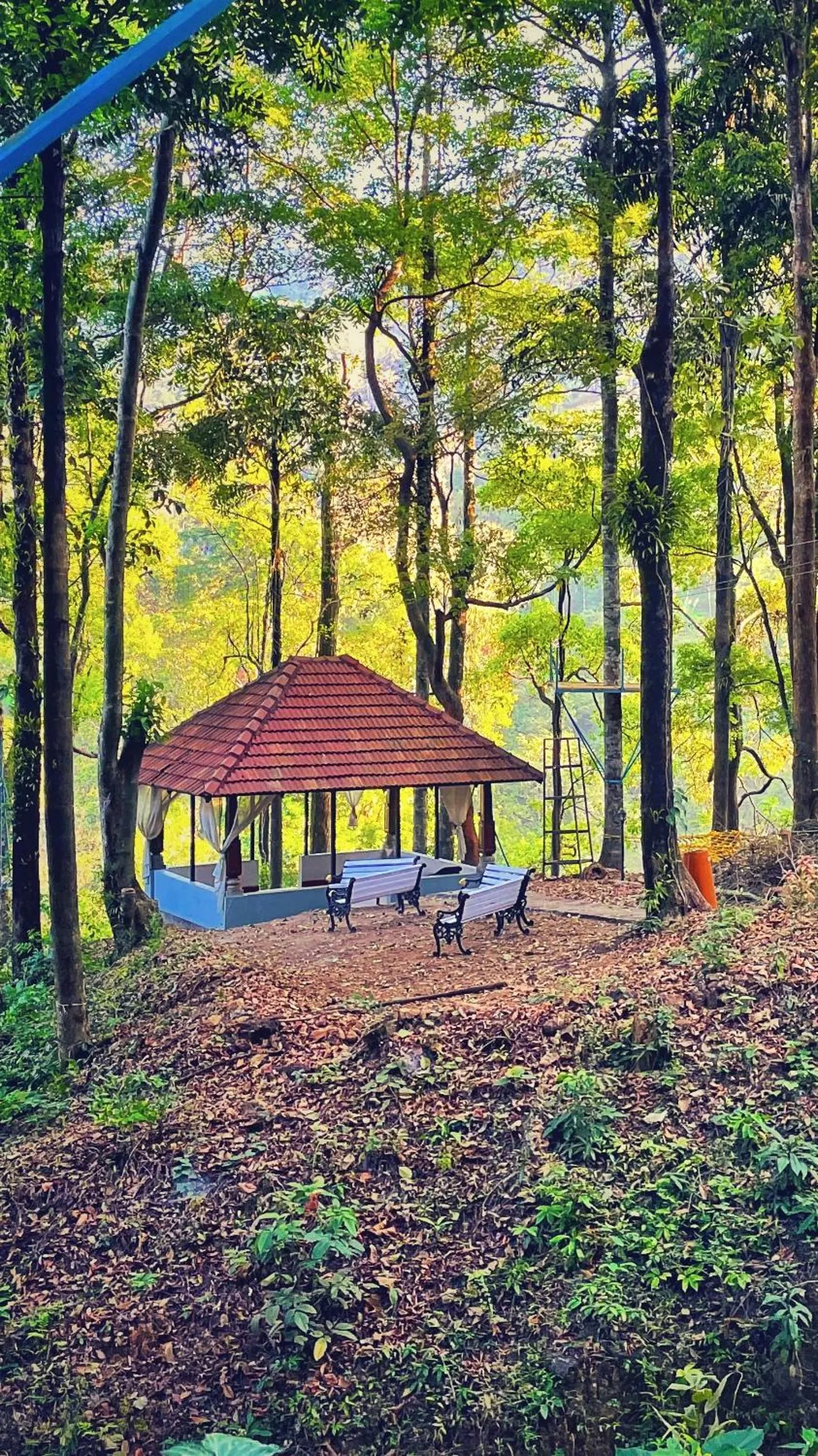 Garden view in Qexperiences Coorg