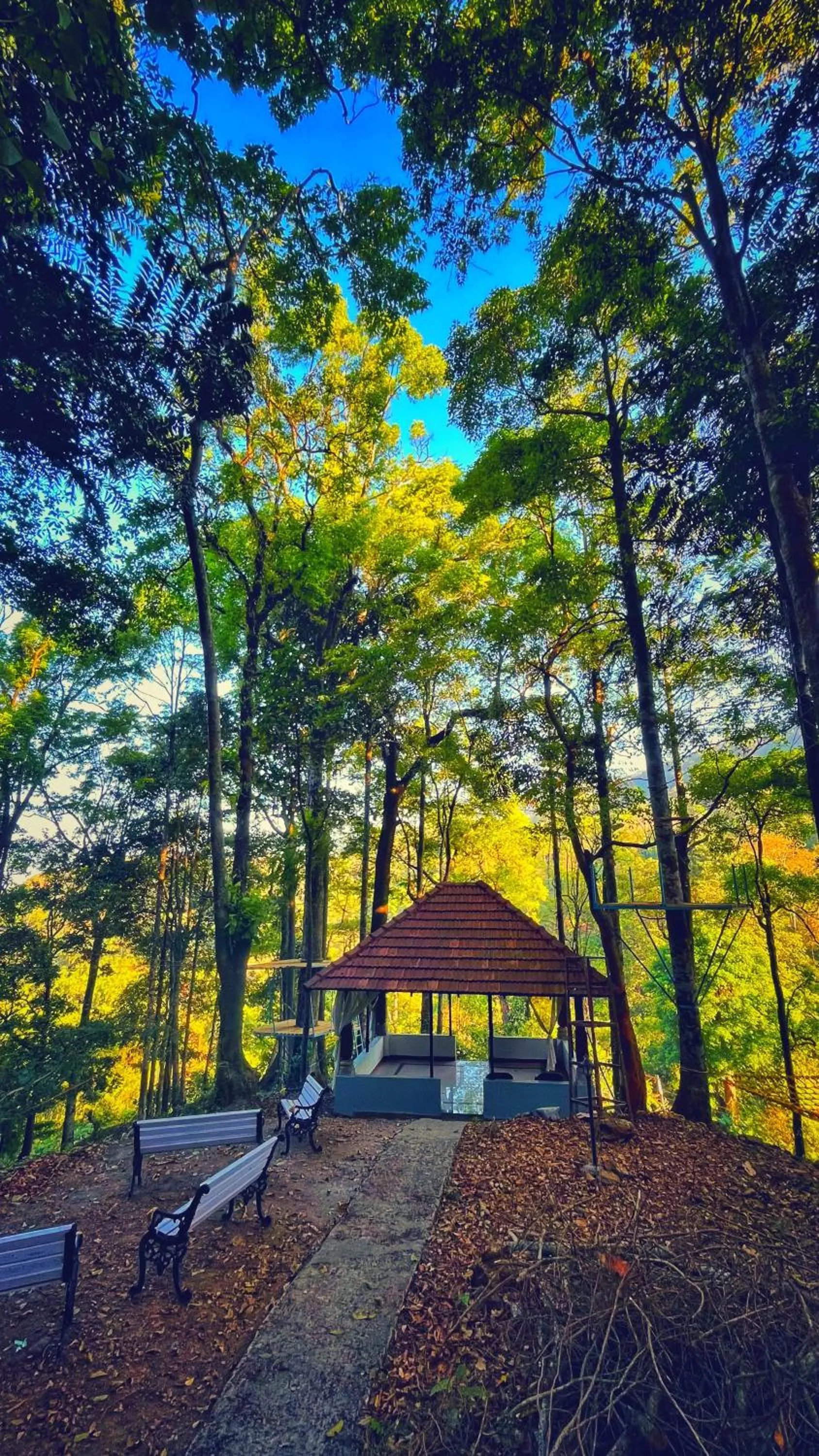 View (from property/room) in Qexperiences Coorg