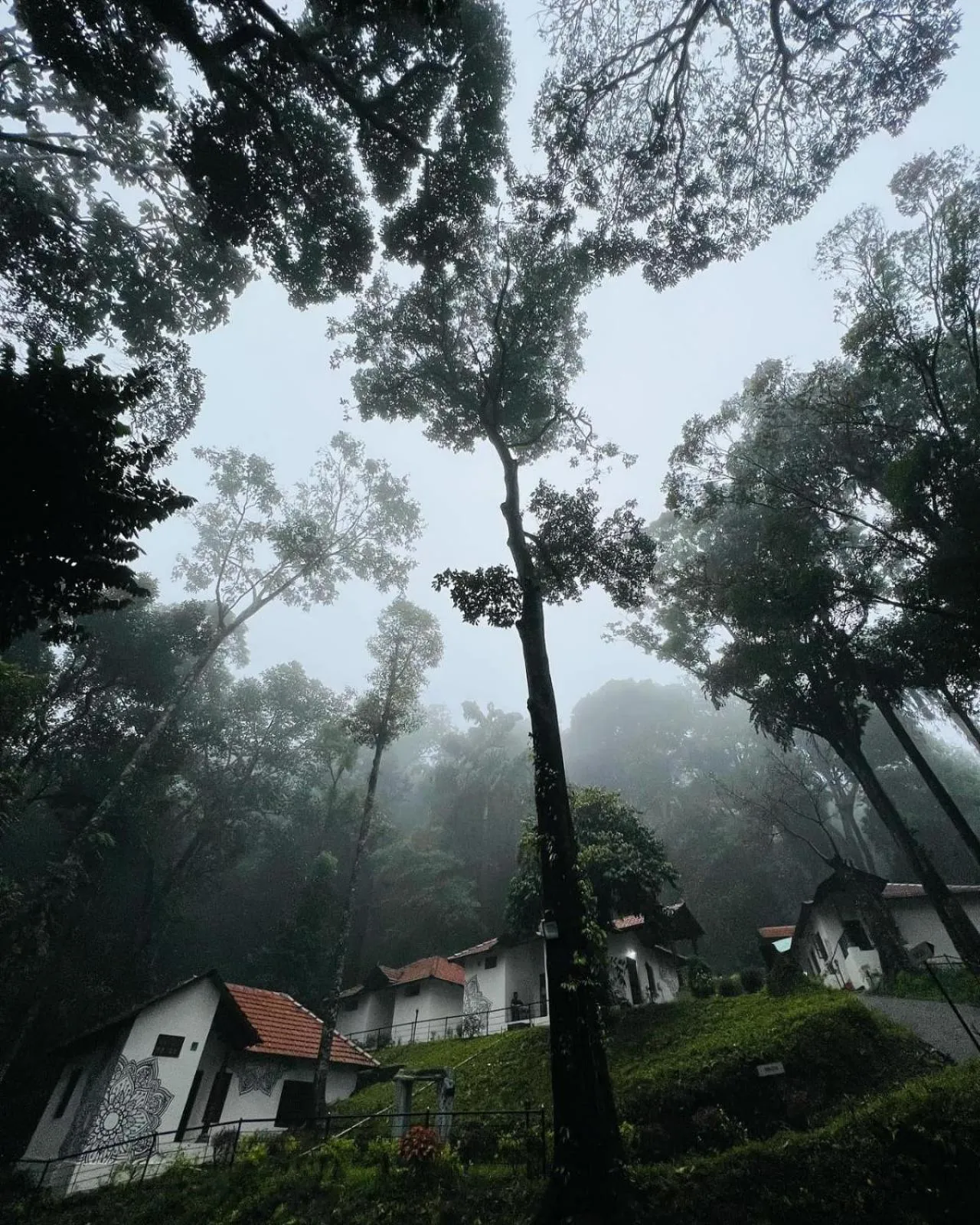 View (from property/room) in Qexperiences Coorg