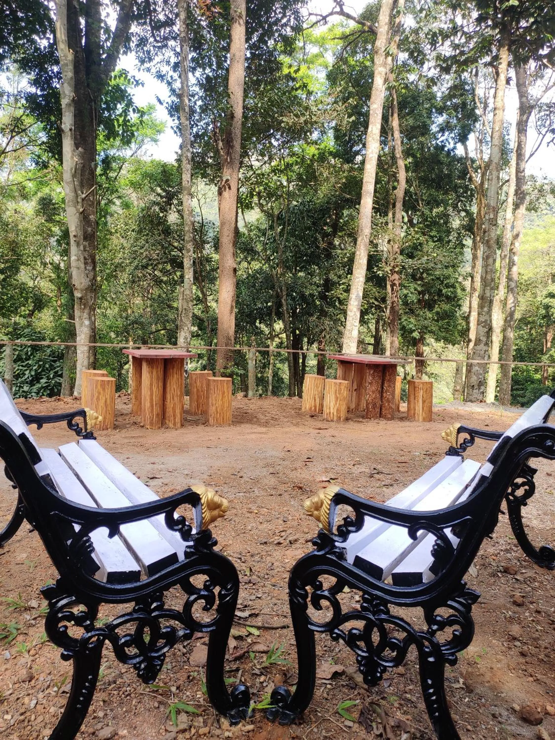 View (from property/room) in Qexperiences Coorg
