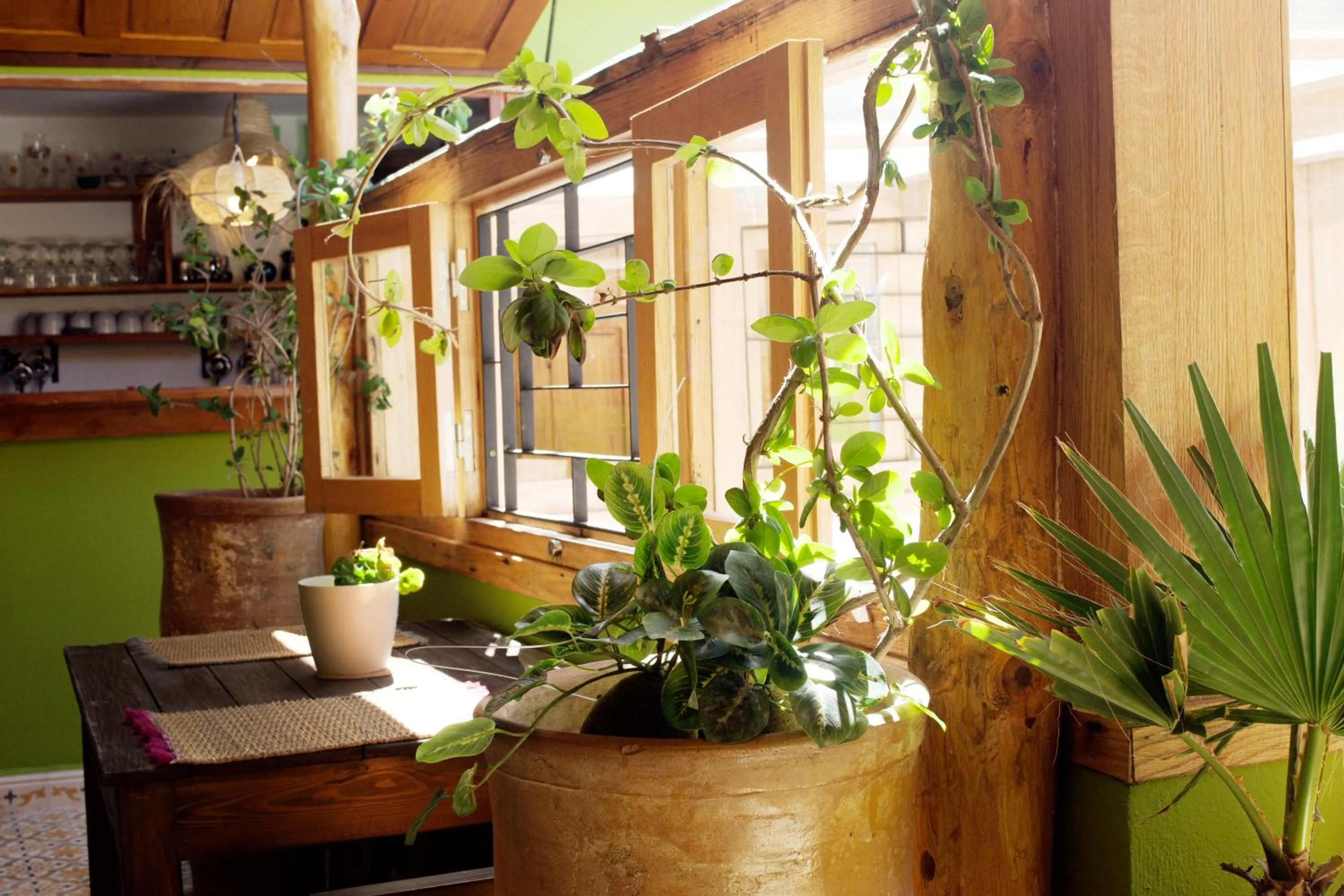 Restaurant/places to eat in Riad Le Khan Mogador