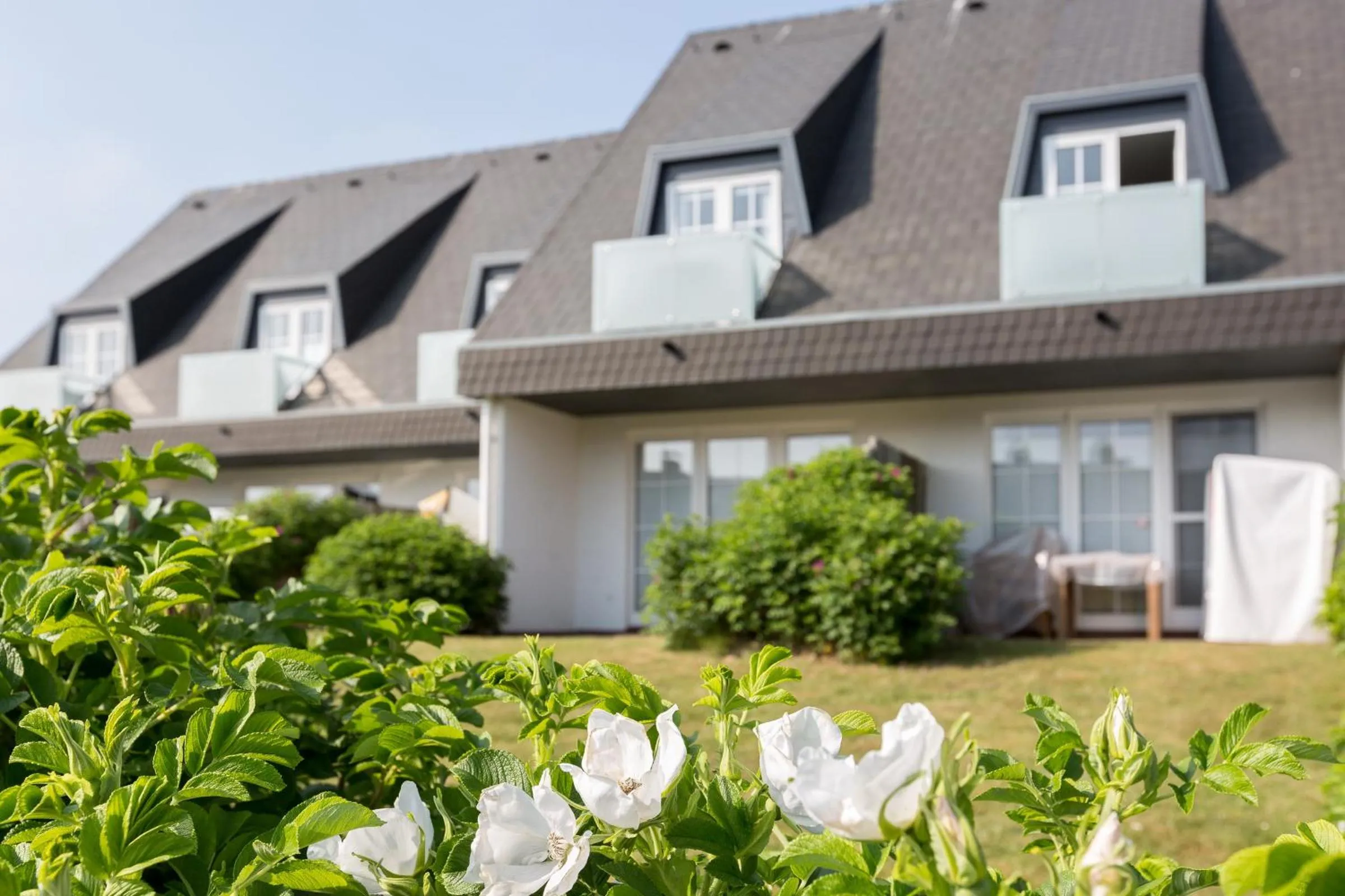 Landhaus Westerhoern Luett Suenn A