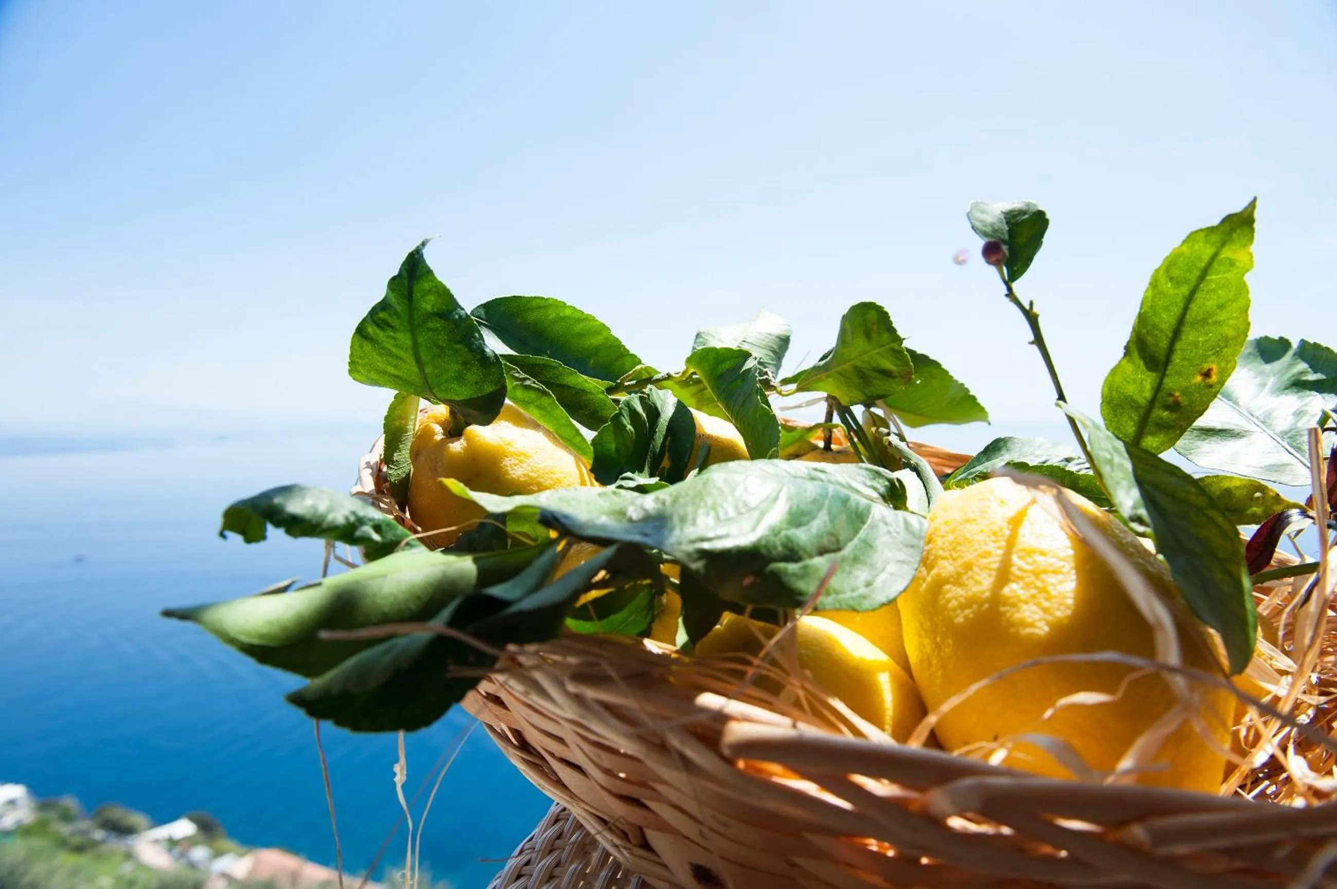 Food in Hotel Villa Felice Relais