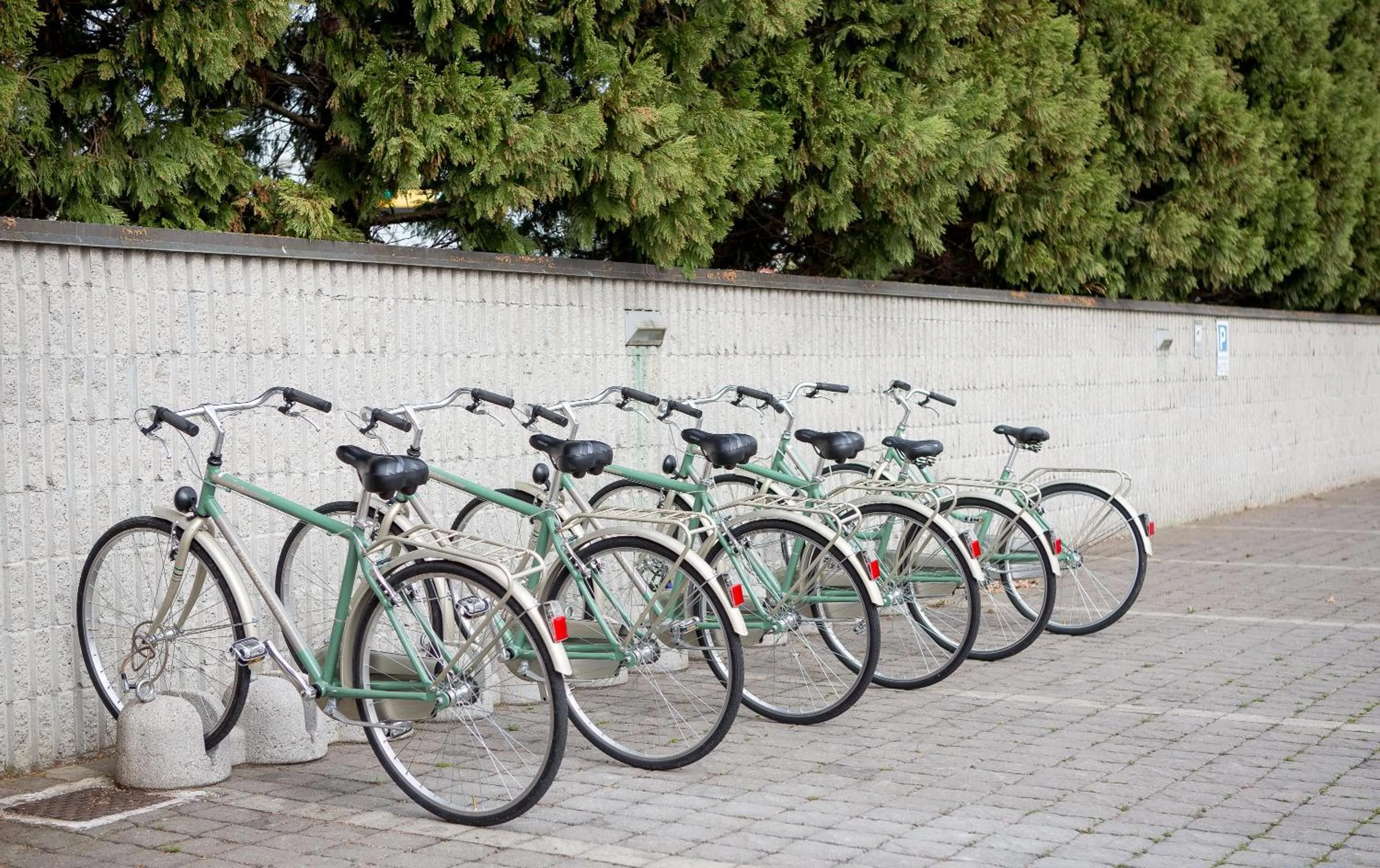 Cycling in Hotel Nord