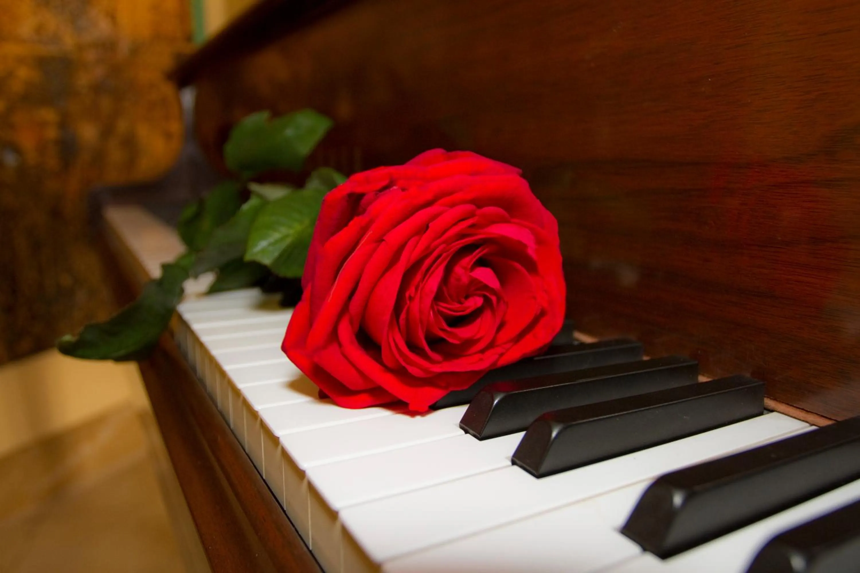 Other in Hotel Centrale Spa & Relax