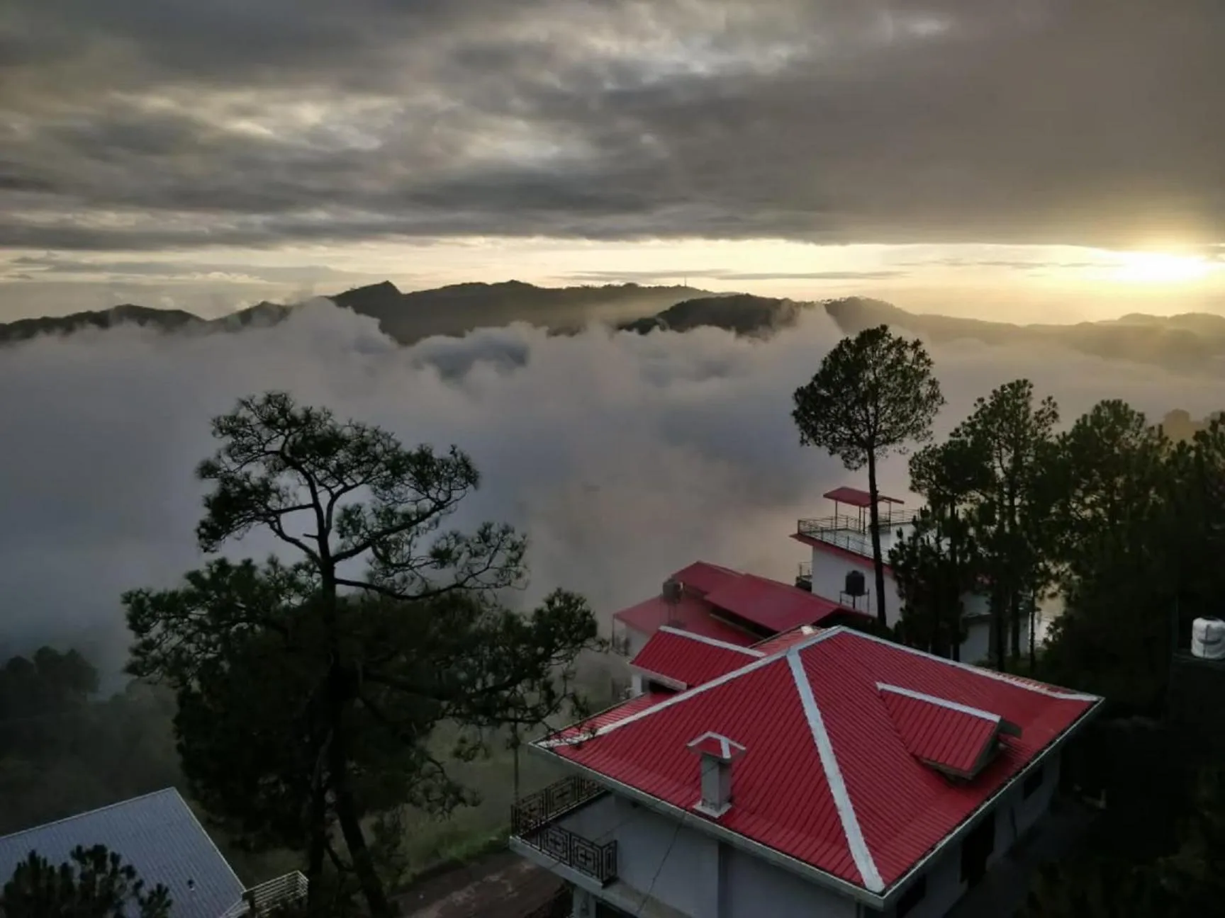 Mountain view in Hotel Le Halcyon Kasauli