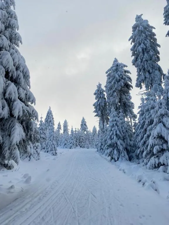 Natural landscape in Apartmán U Tří smrků