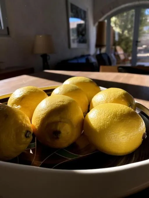 le Nomade en Provence