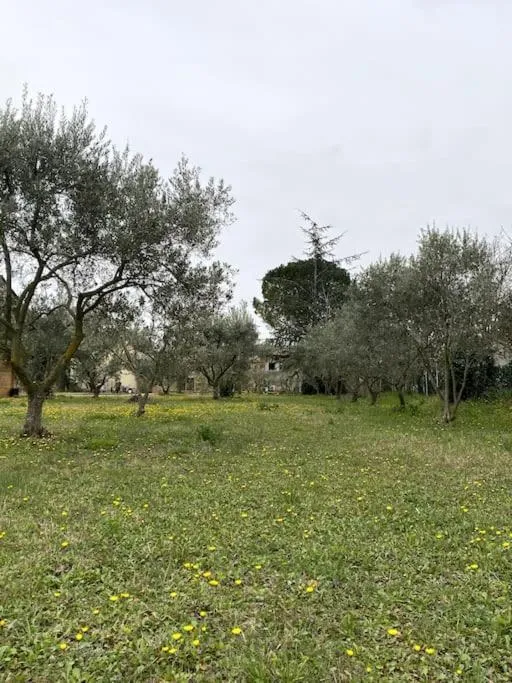 Garden in le Nomade en Provence