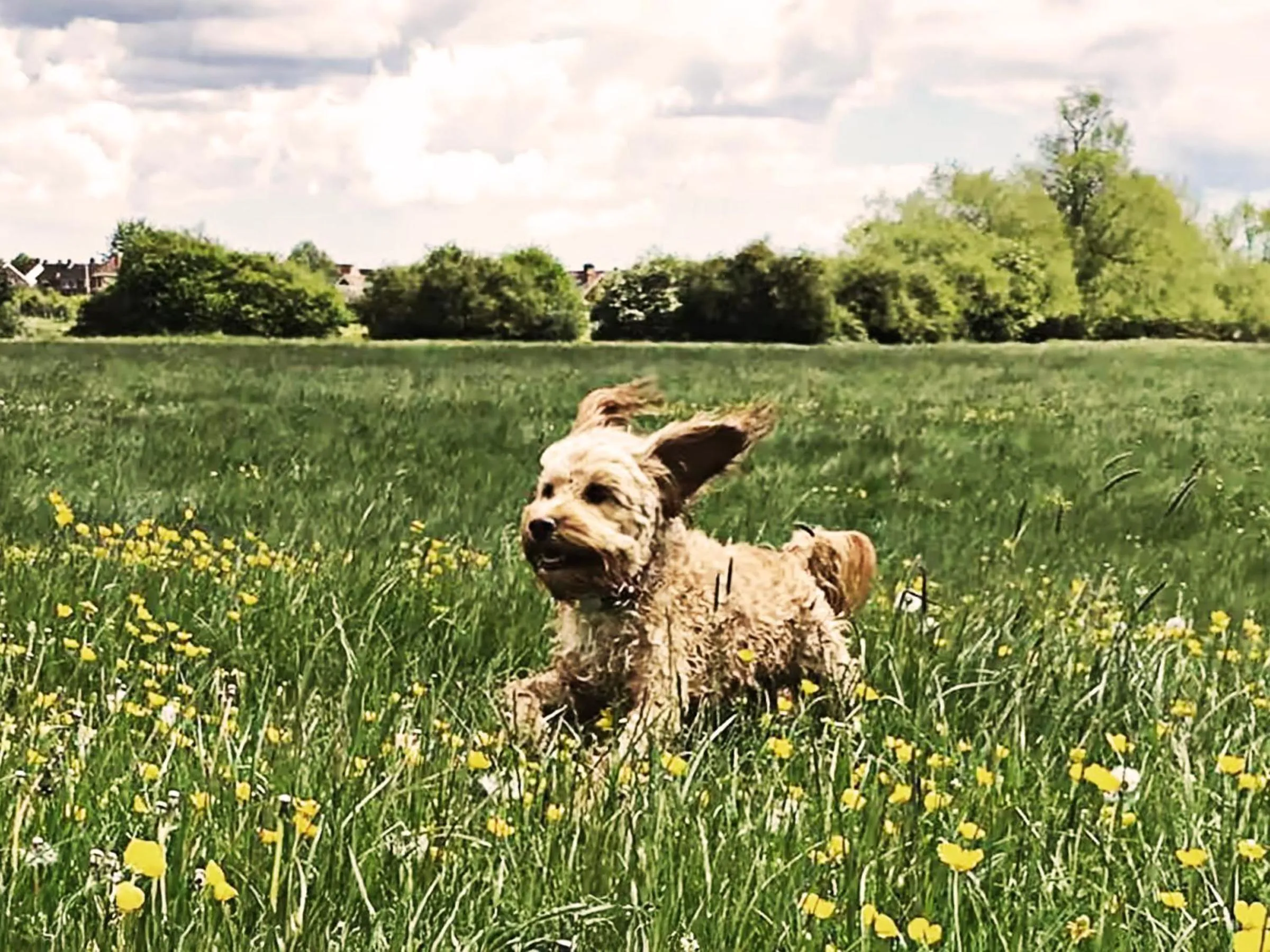 Neighbourhood in 3 Chestnut Terrace by The Suffolk Cottage Collection