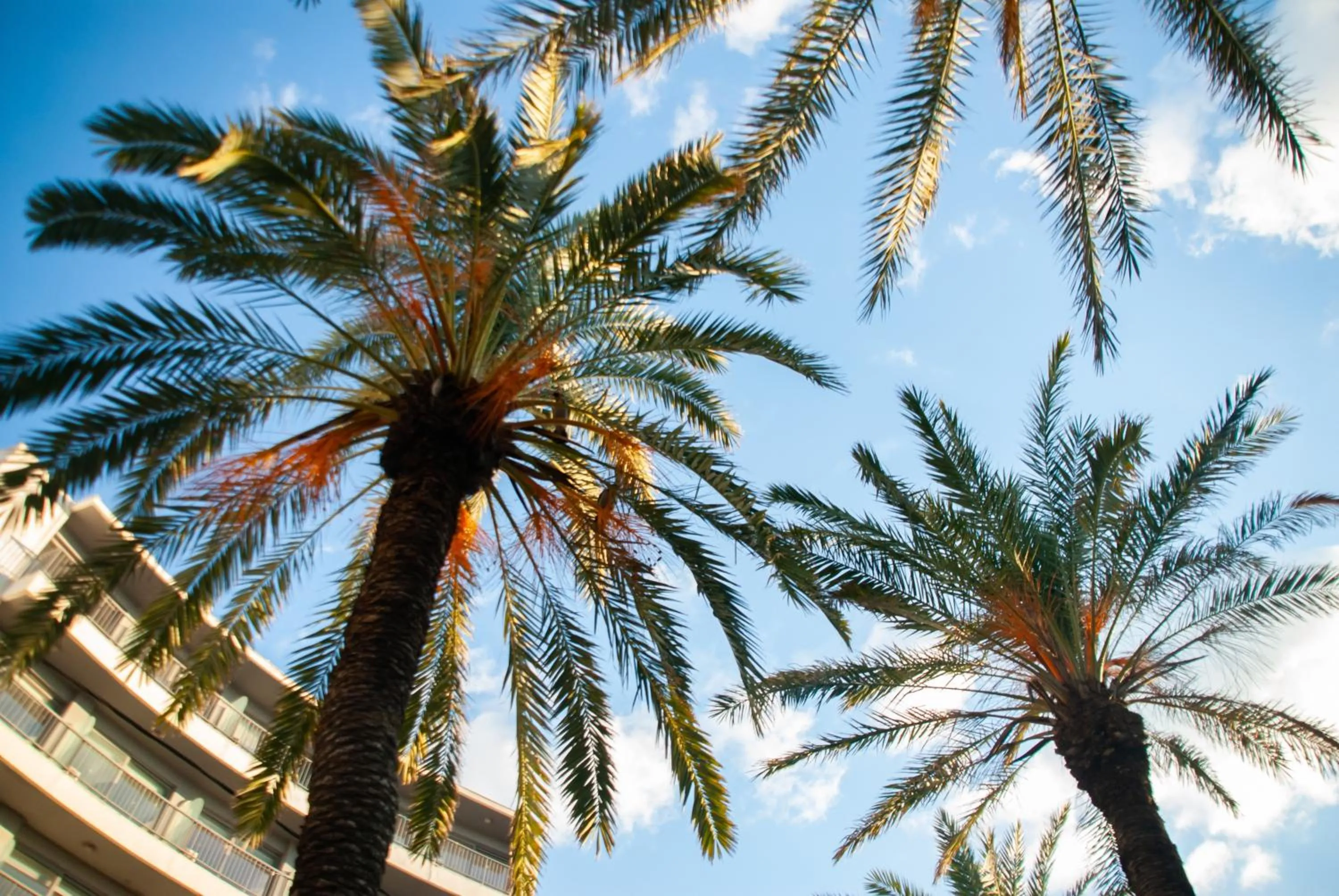 Property building in STAY Rhodes Hotel