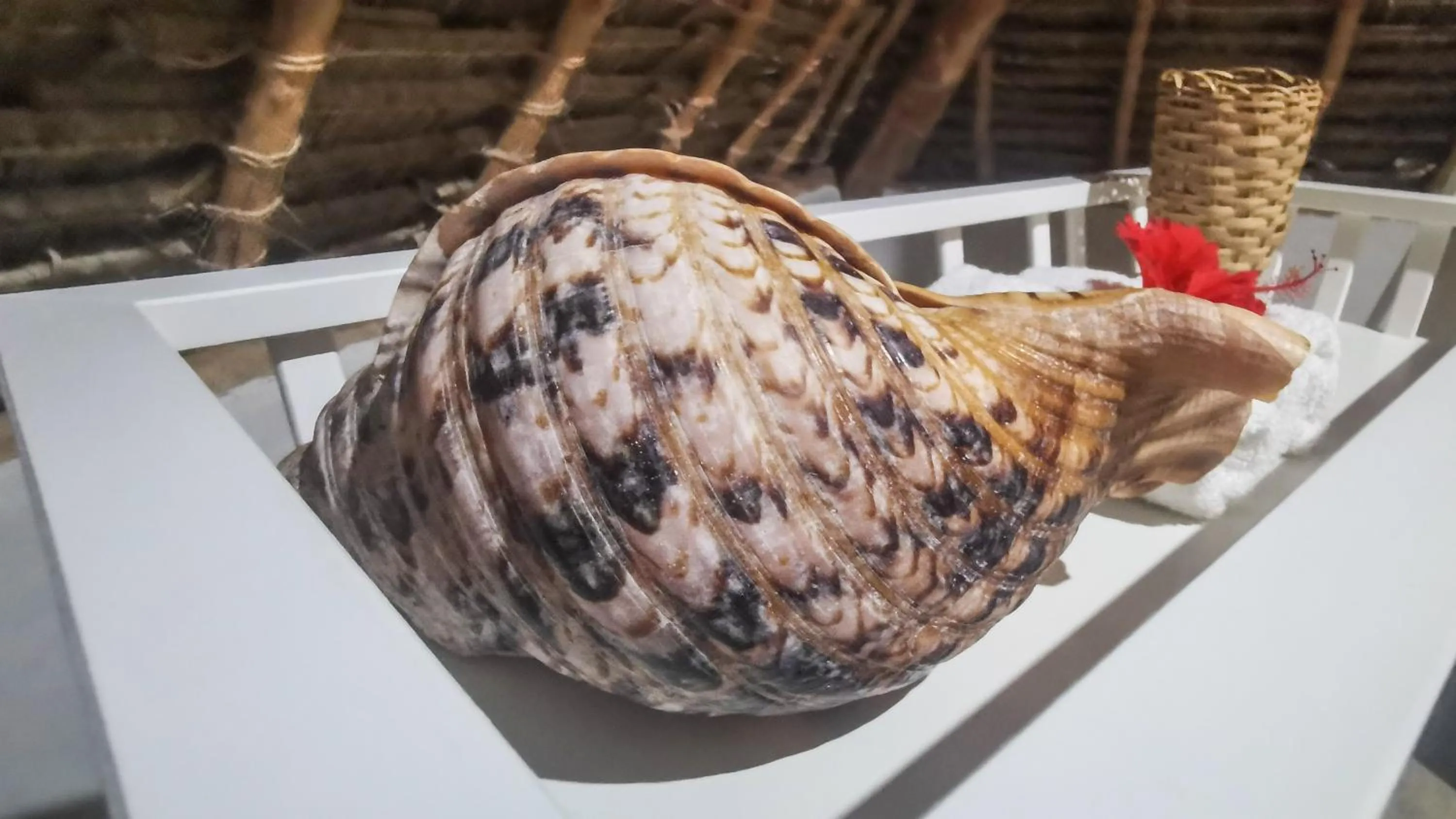 Bathroom in Villa Malaika