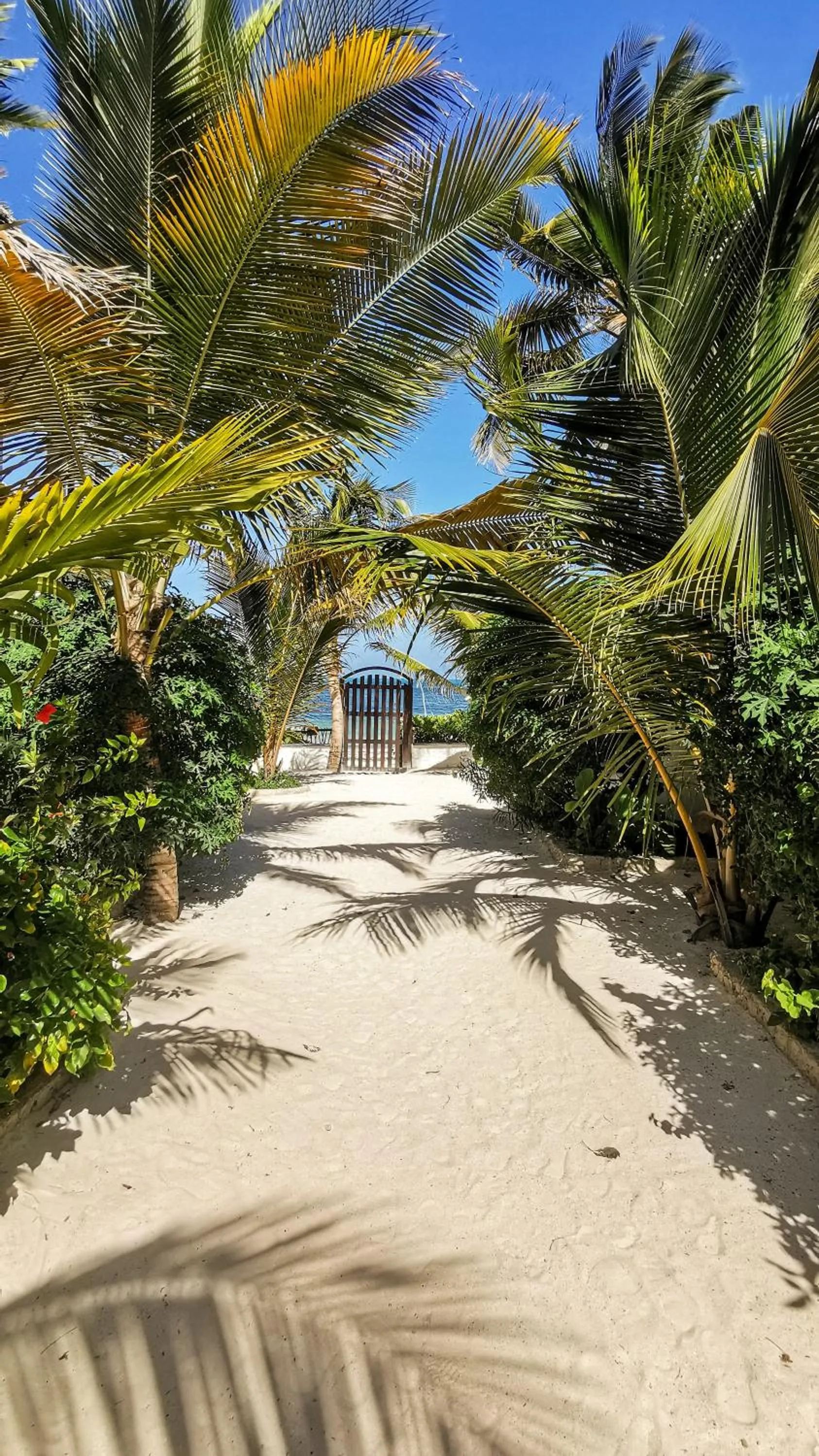 Garden in Villa Malaika