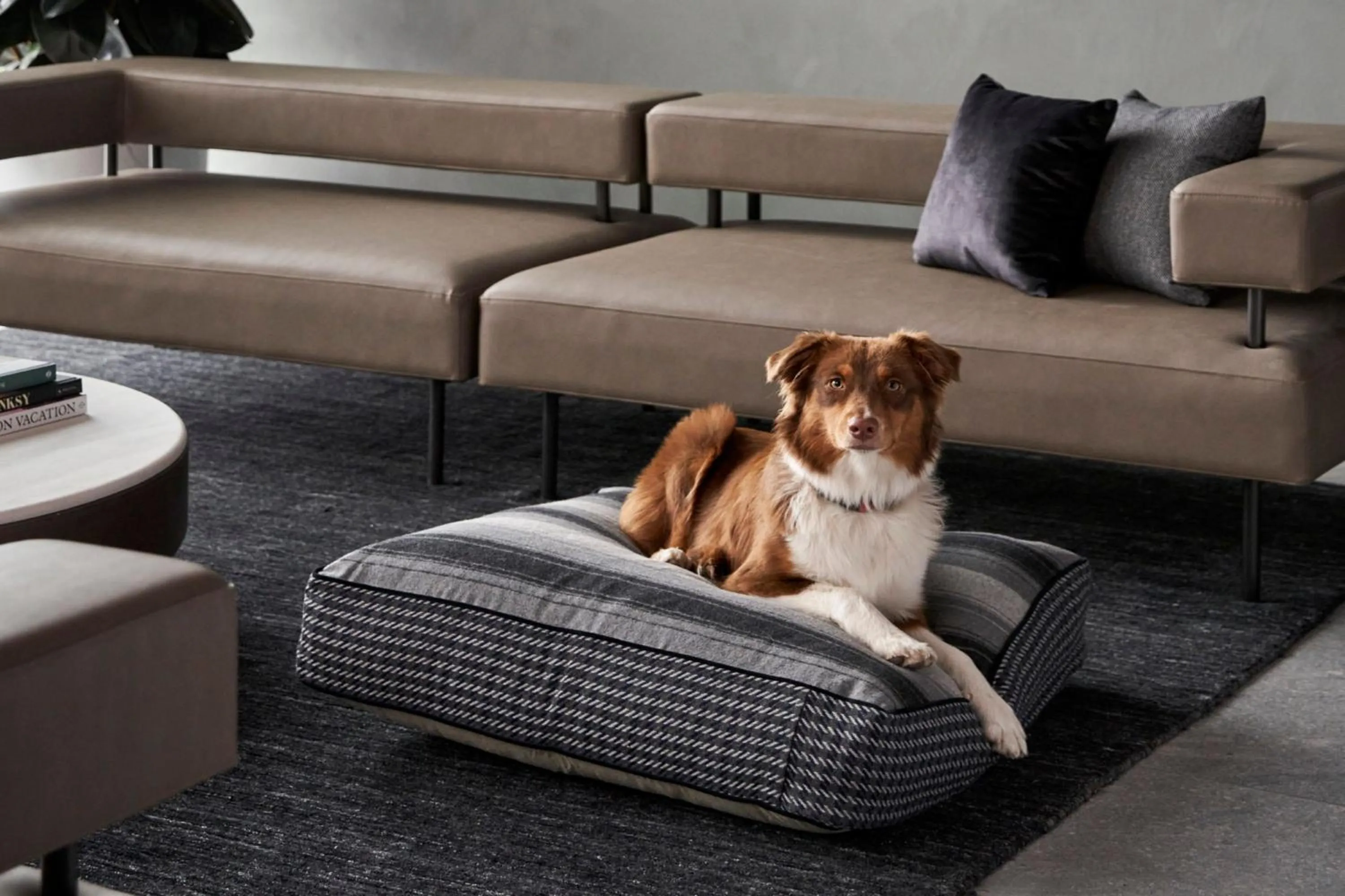 Lounge or bar in AC Hotel by Marriott Melbourne Southbank