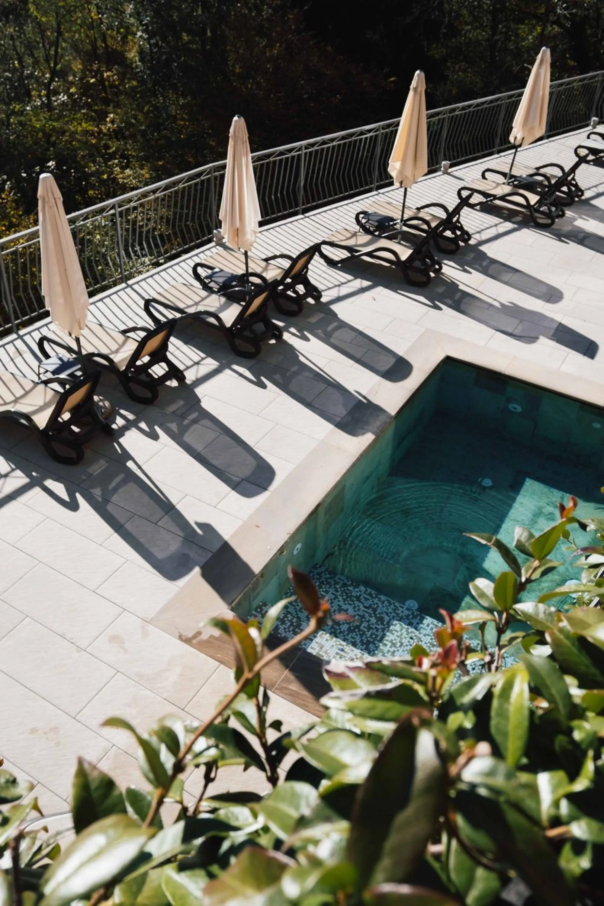 Swimming pool in Hotel Resort & Spa Miramonti