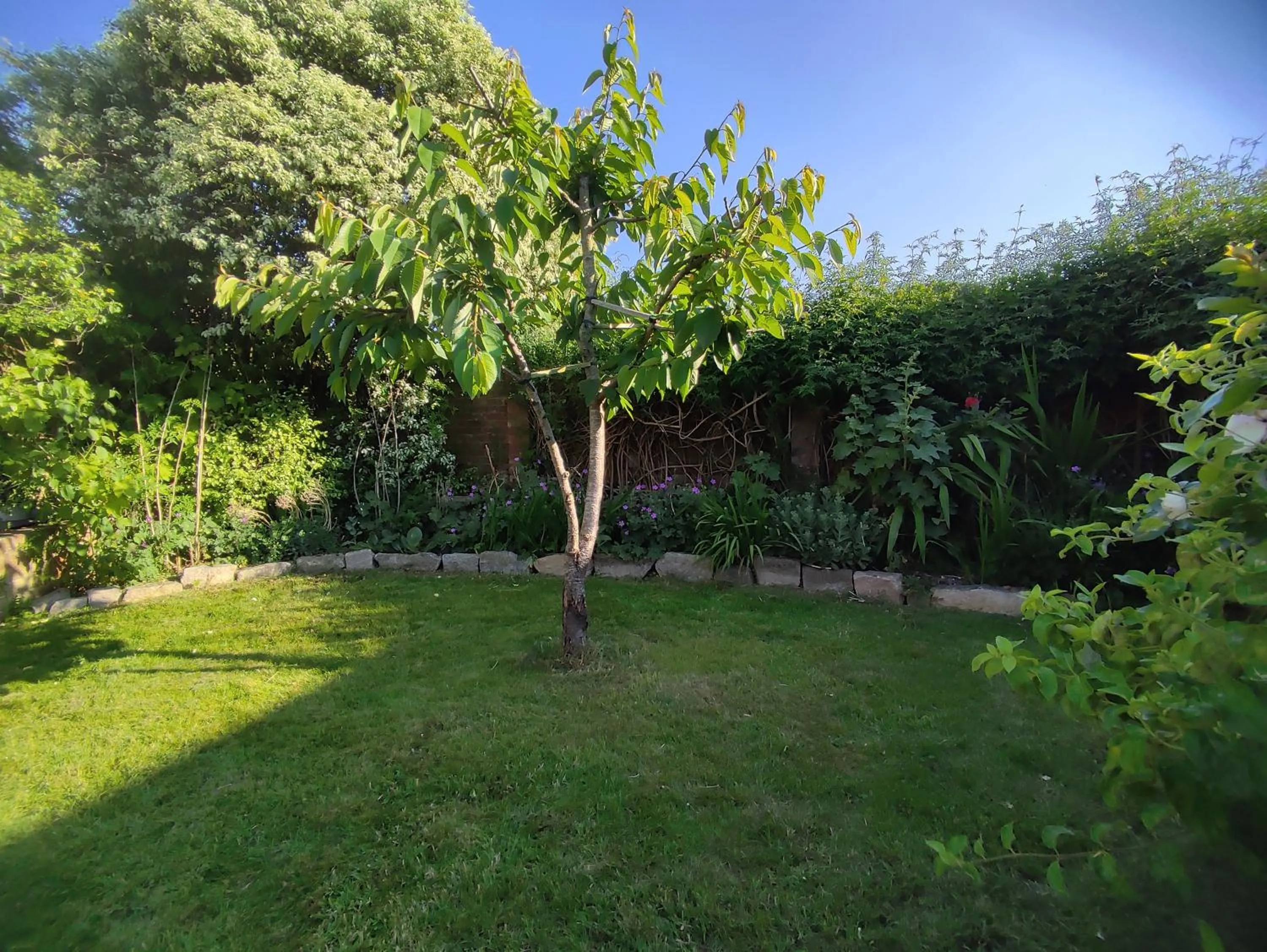 Garden in The Cheesehouse - Seven ensuite bedrooms