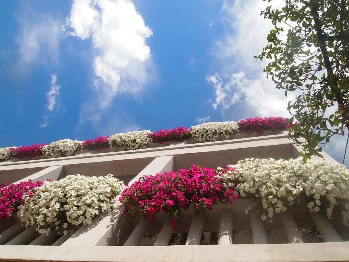 Property building in Soggiorno Lo Stellino