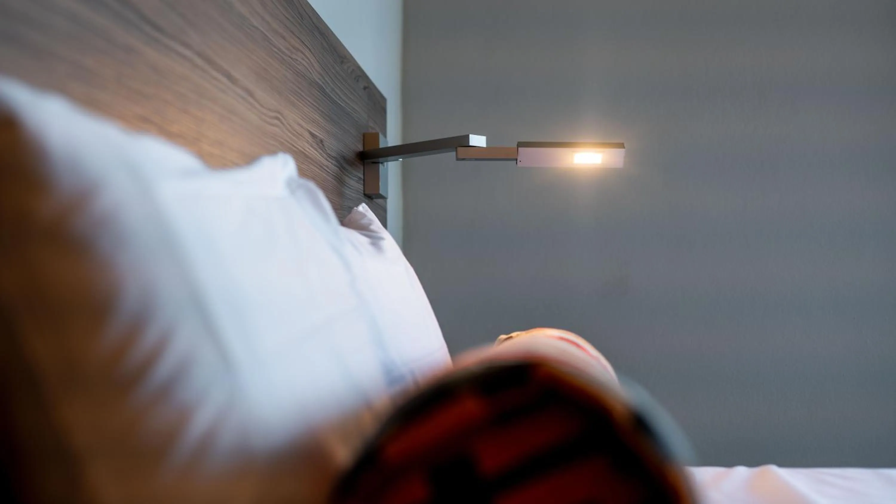 Bed in Royal Delonix