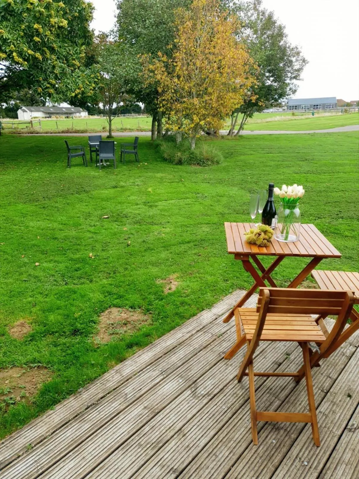 Natural landscape in Chestnut Meadow Country Park