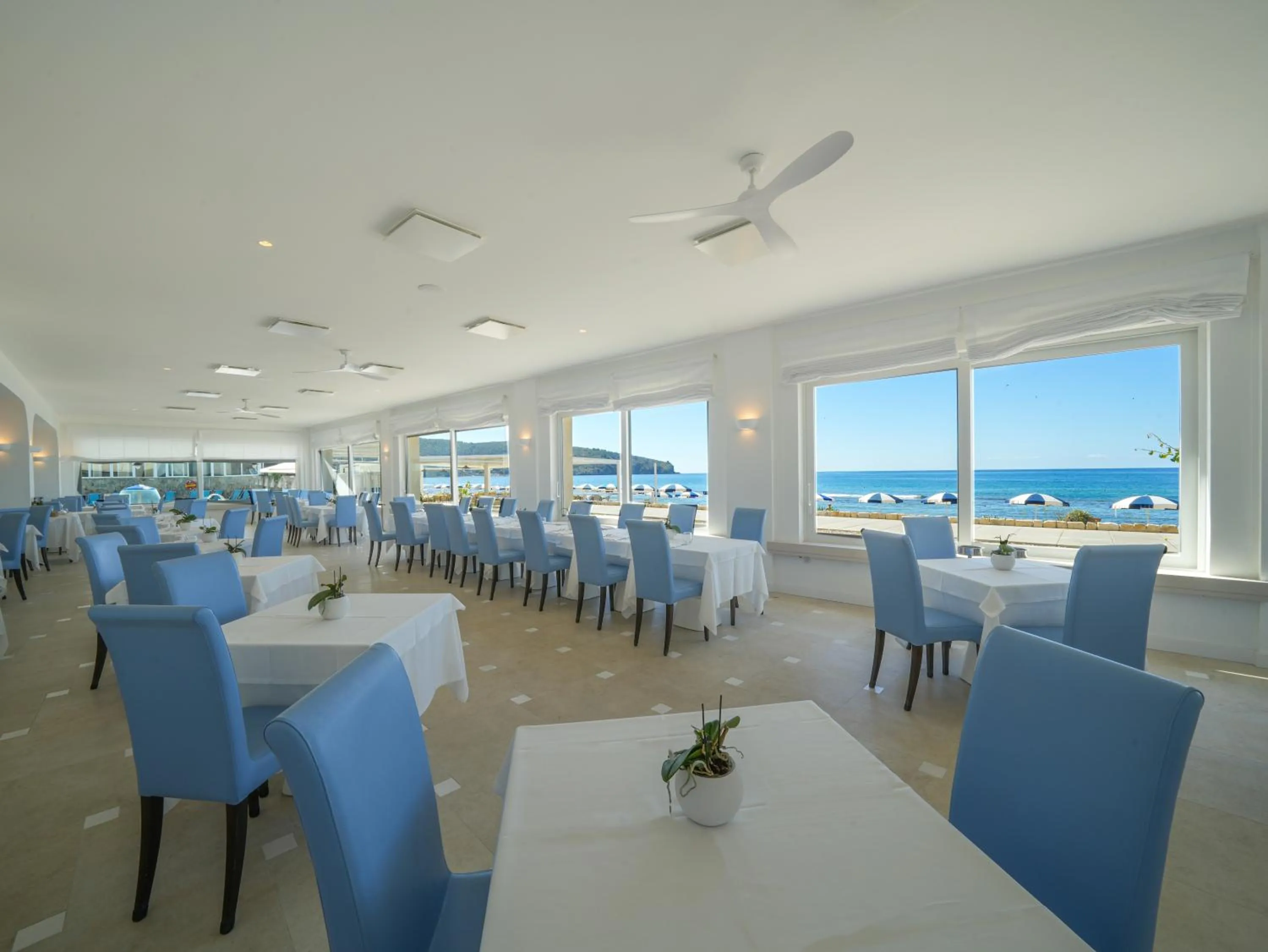 Restaurant/places to eat in Hotel Saline