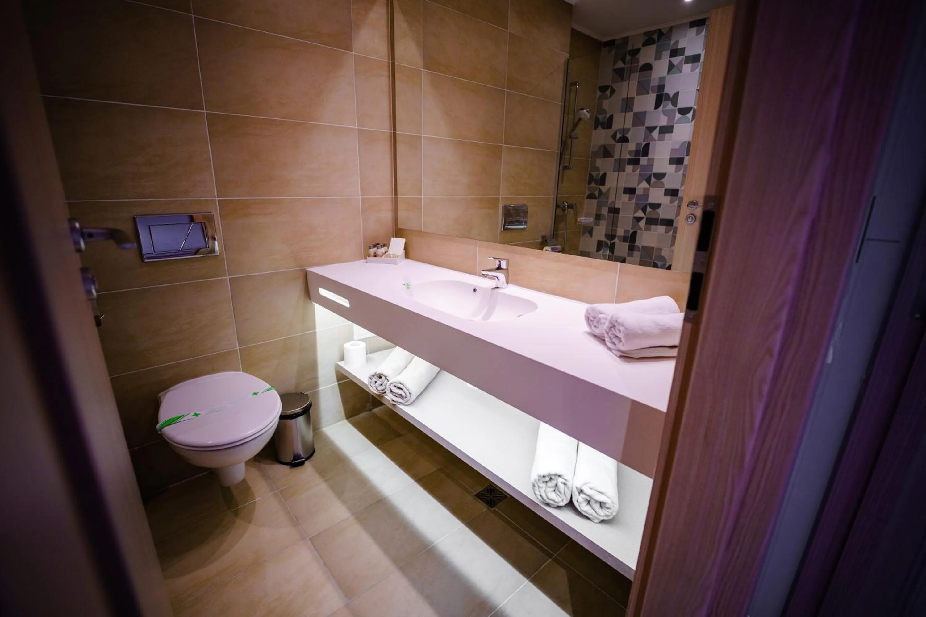 Toilet in Bacolux Koralio, Eforie Nord