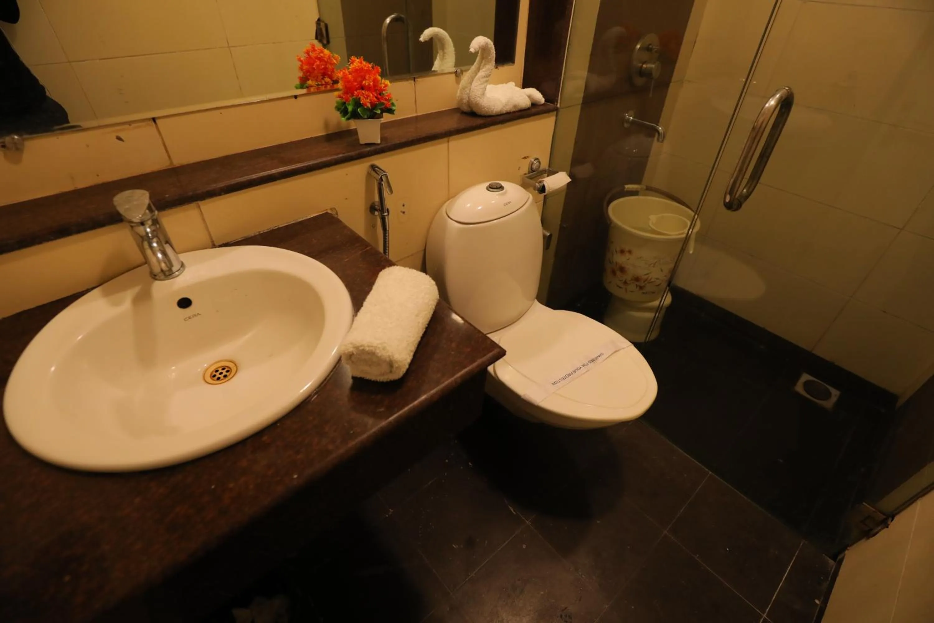 Toilet in Meera Madhav Resort