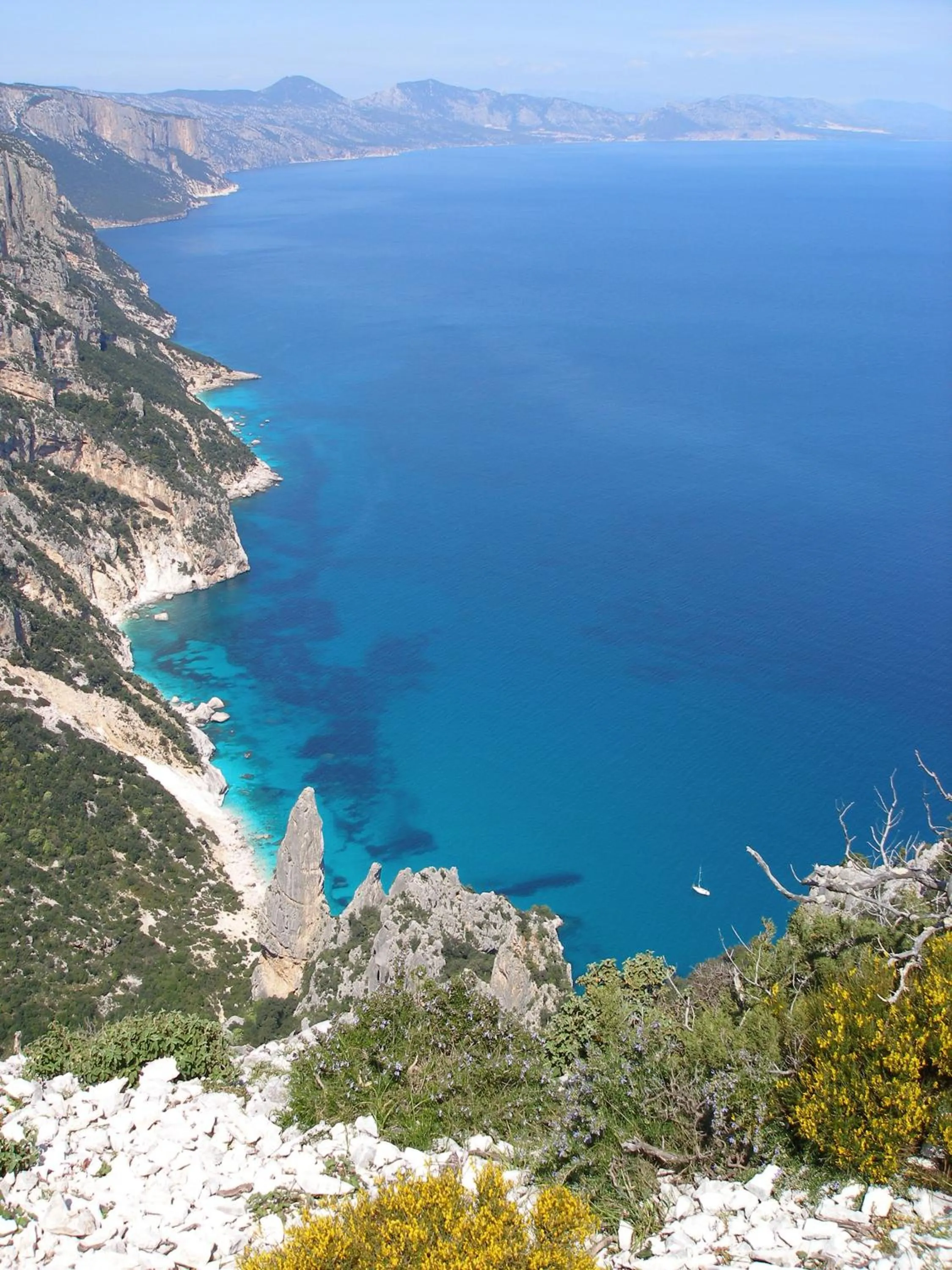 Area and facilities in Hotel Nicoletta