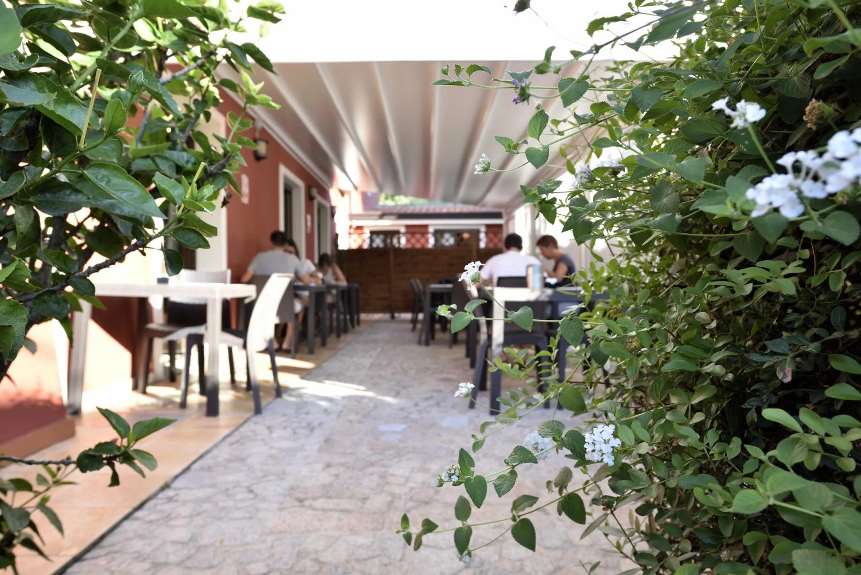 Restaurant/places to eat in Hotel Nicoletta