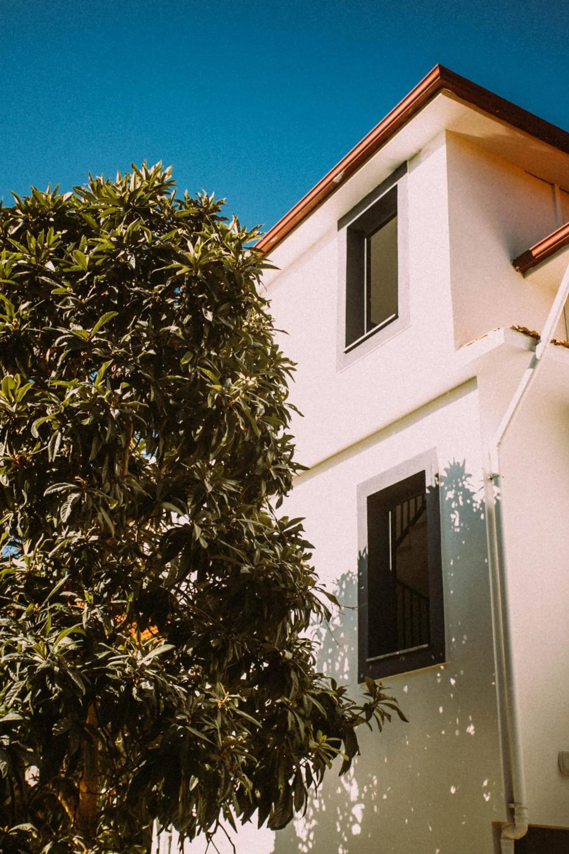 Property building in Vira Suites Hotel