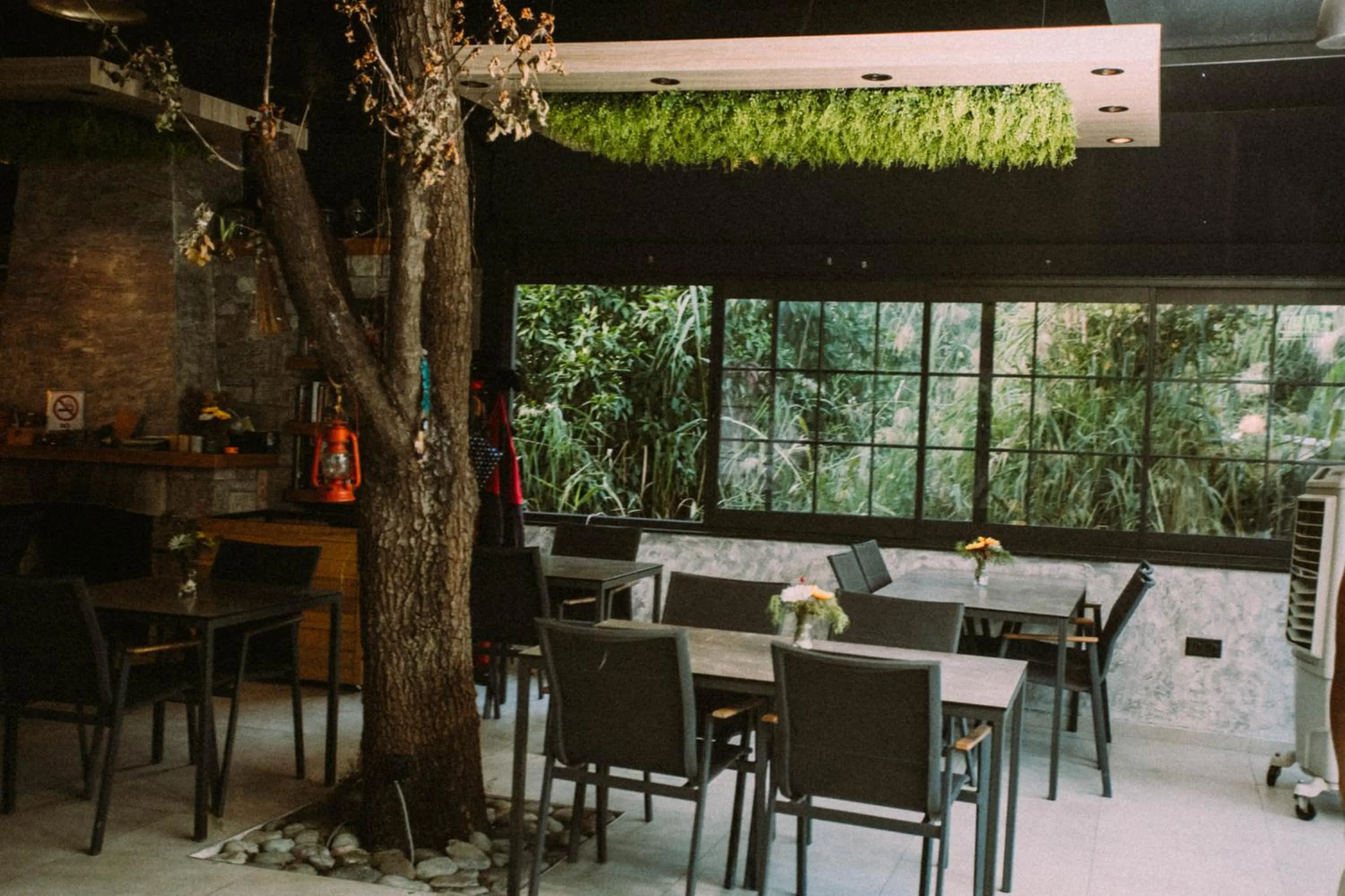 Restaurant/places to eat in Vira Suites Hotel