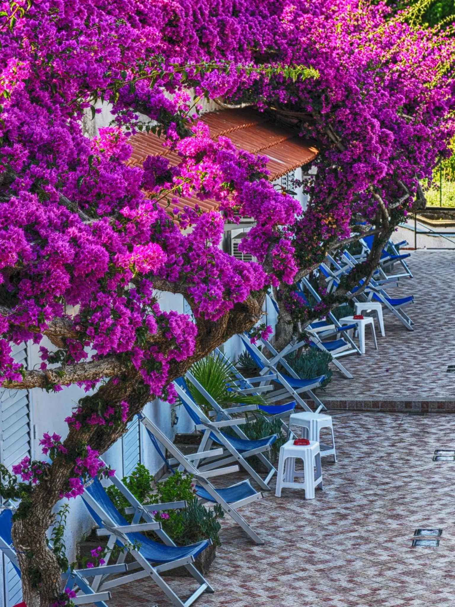 Property building in Hotel Parco Cartaromana