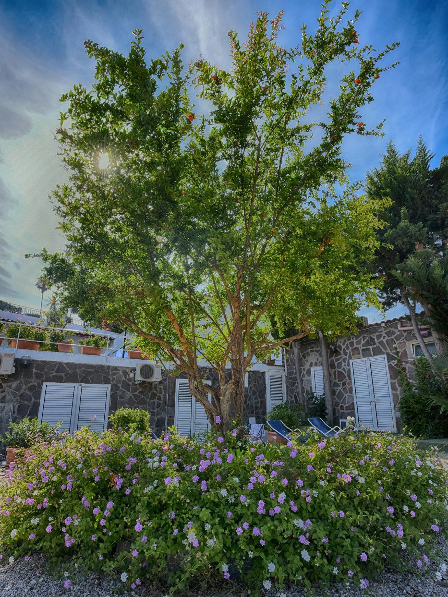 Property building in Hotel Parco Cartaromana