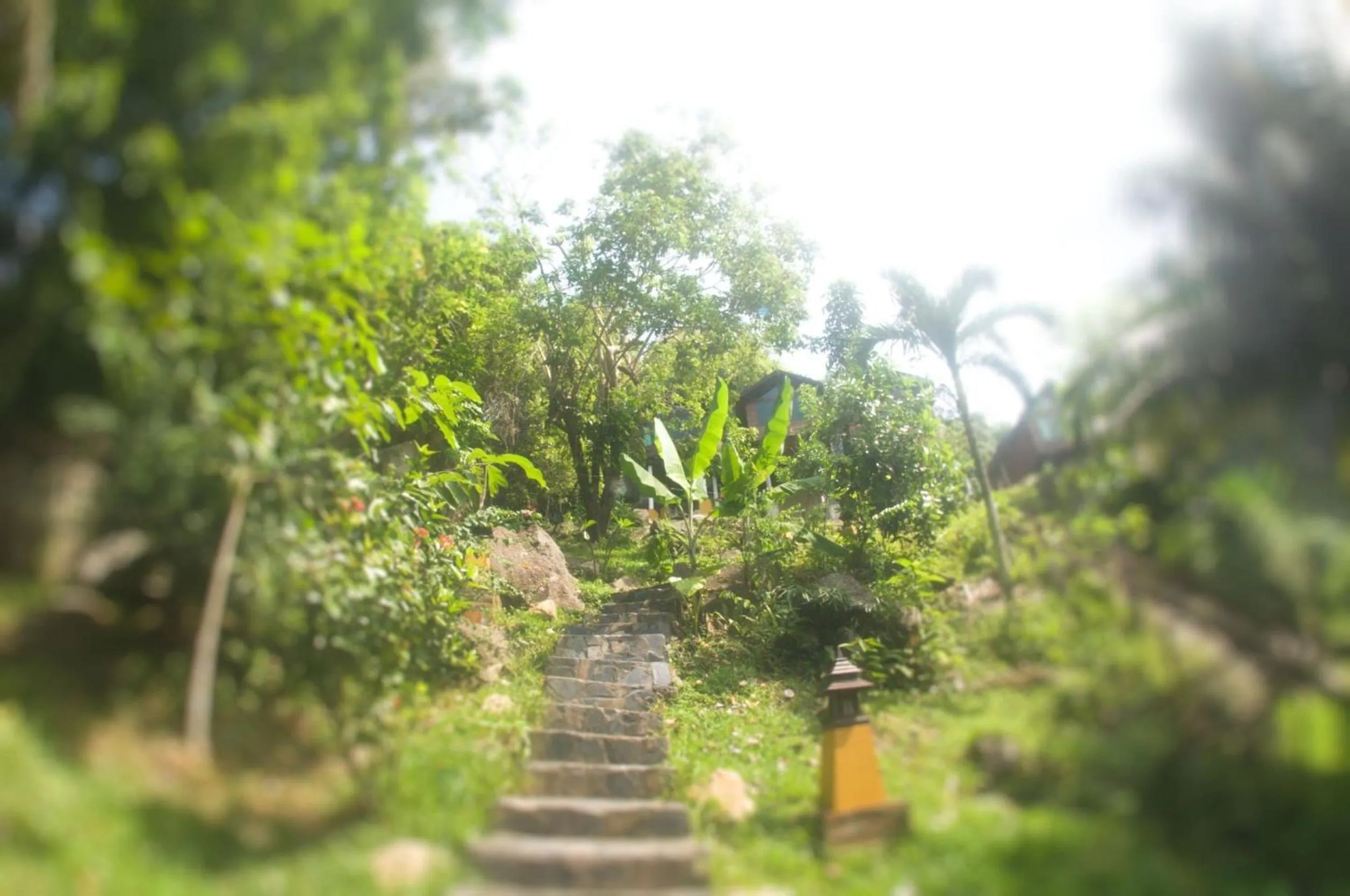 Natural landscape in Kawarin Secret Hut Hotel and Resort