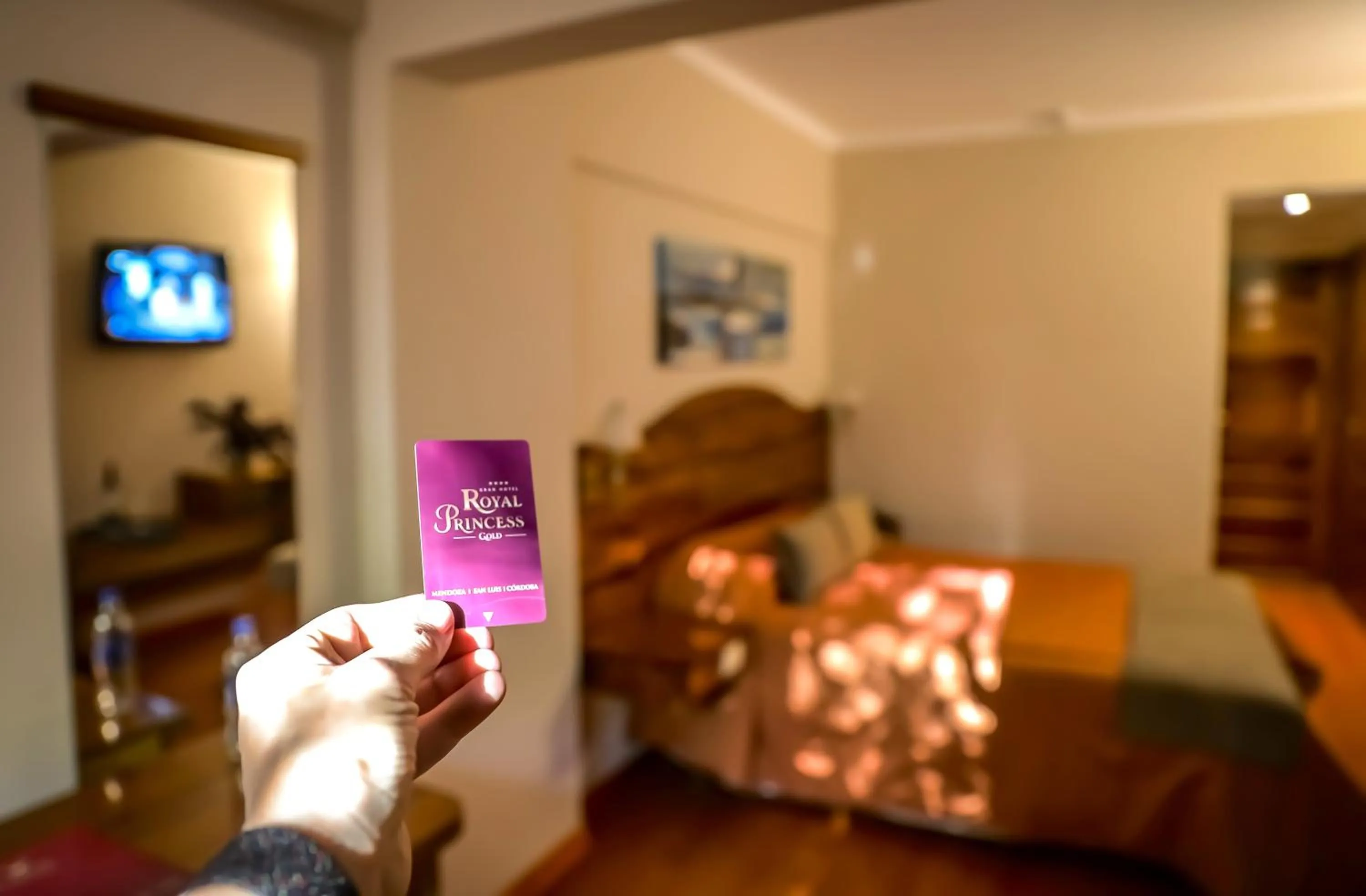 Photo of the whole room in HOTEL ROYAL PRINCESS