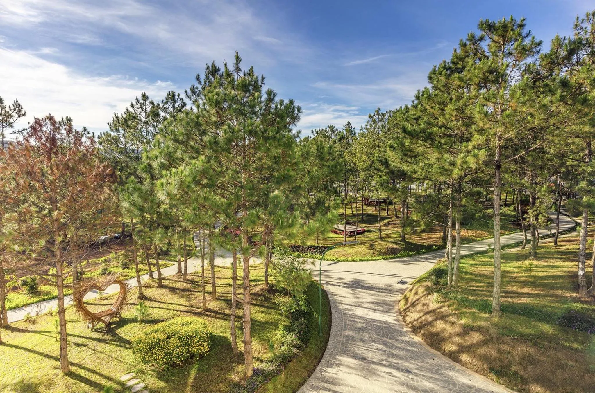 Day in Rừng Lá Kim Resort