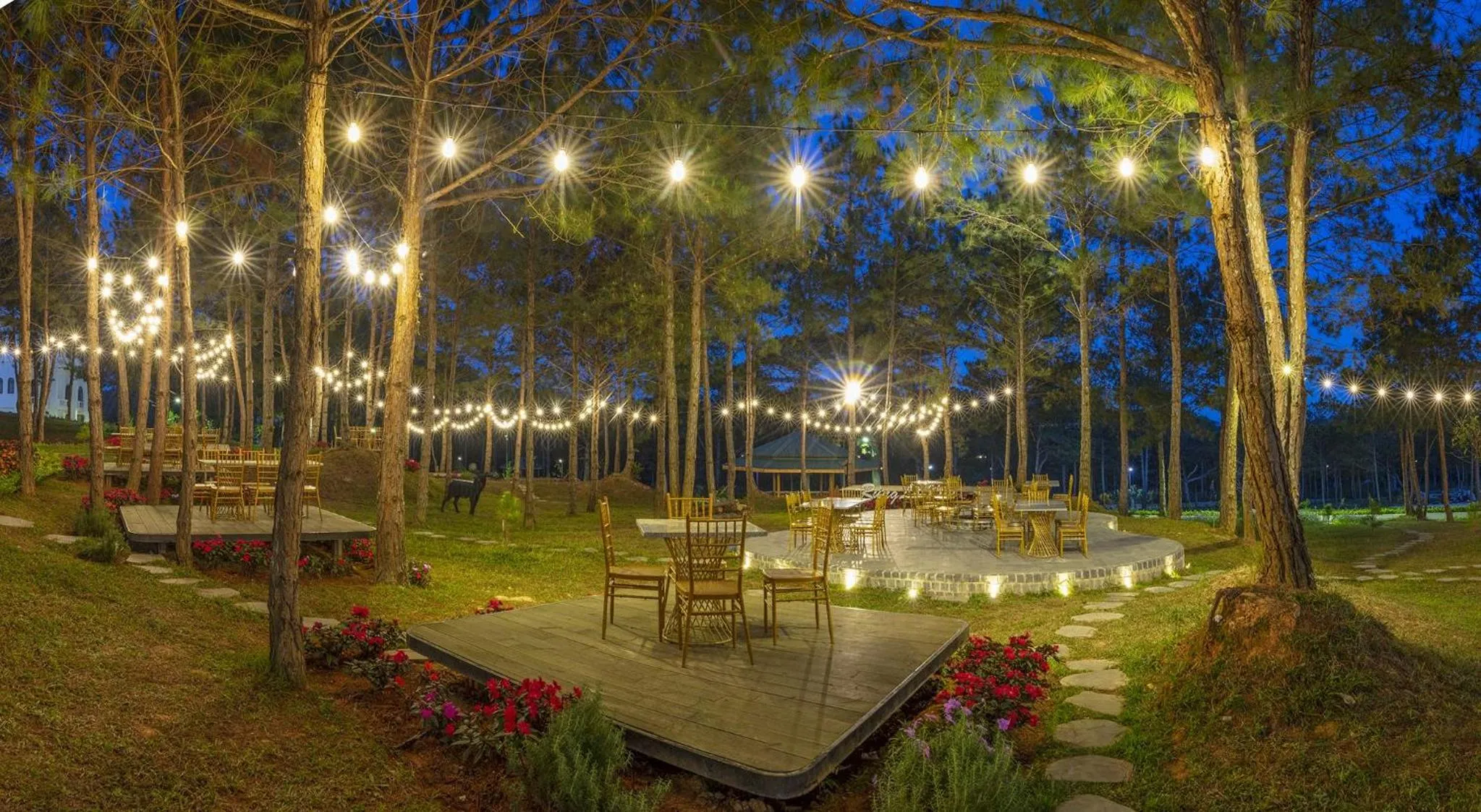 Night in Rừng Lá Kim Resort