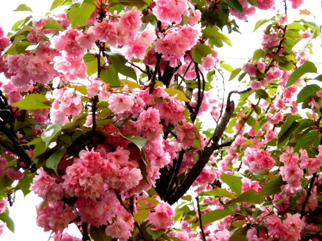 Other in Hotel Majestic