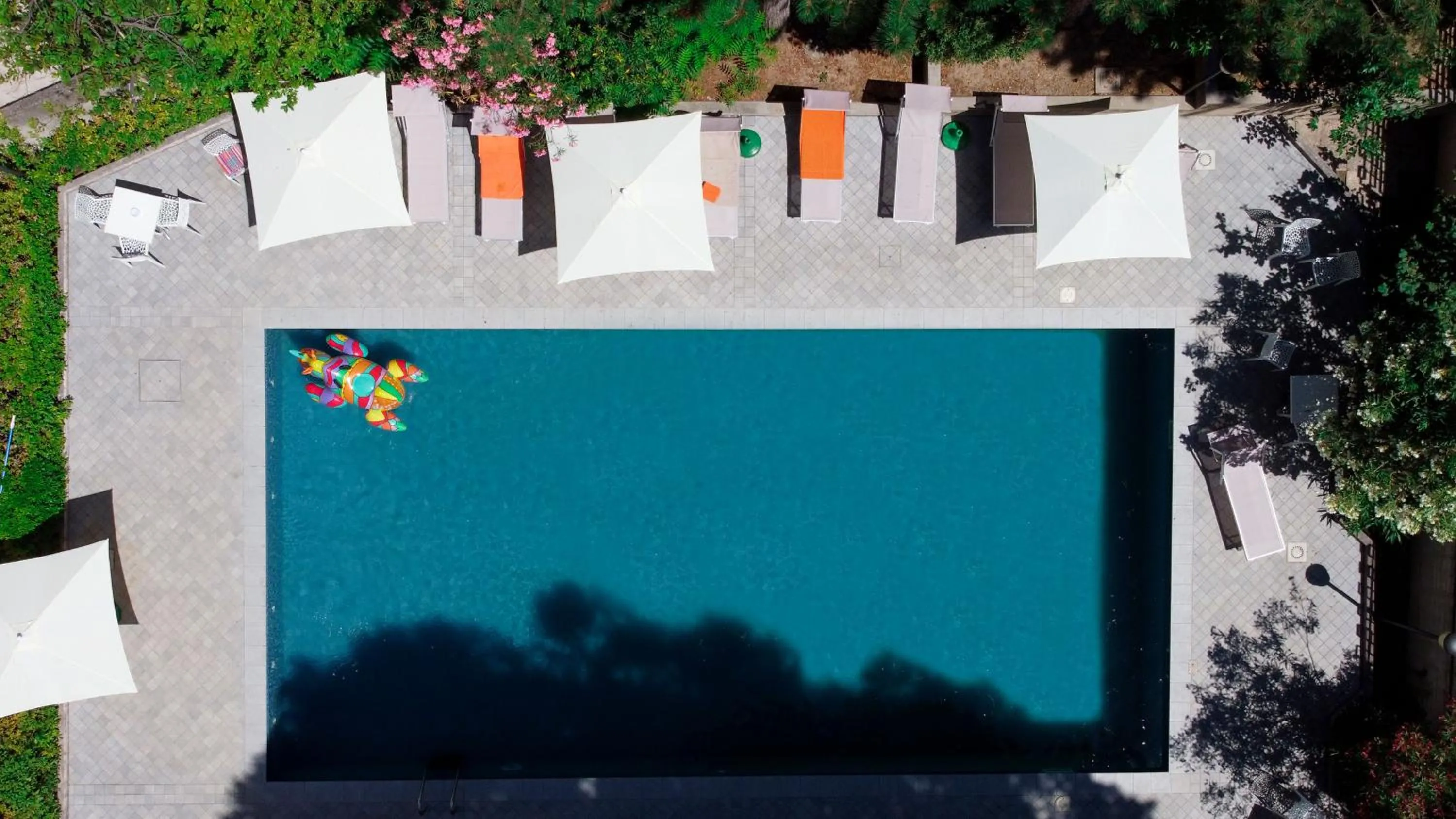 Swimming pool in Club Hotel