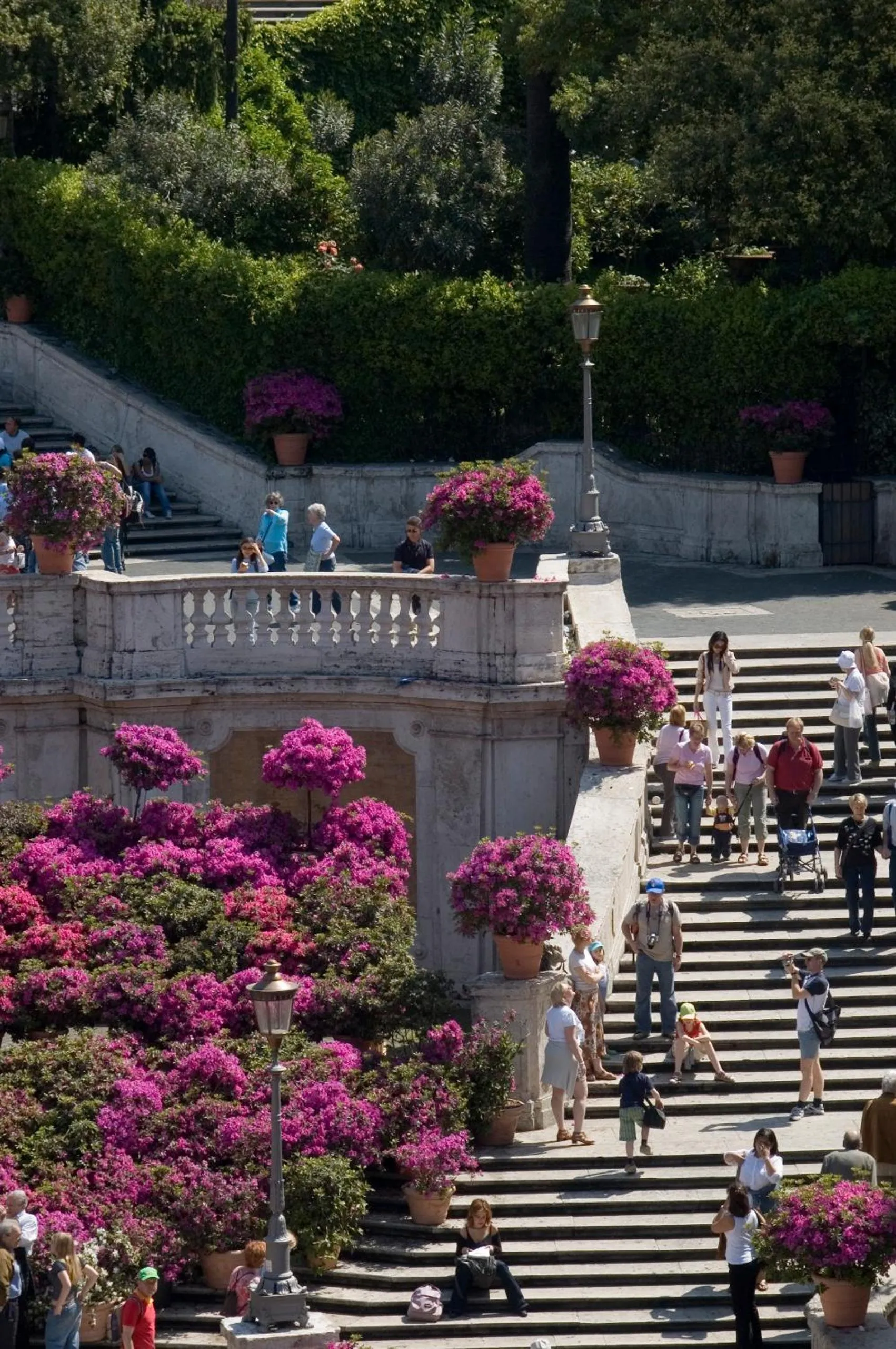 The Inn at the Spanish Steps Luxury Collection - The Inn at the Spanish Steps