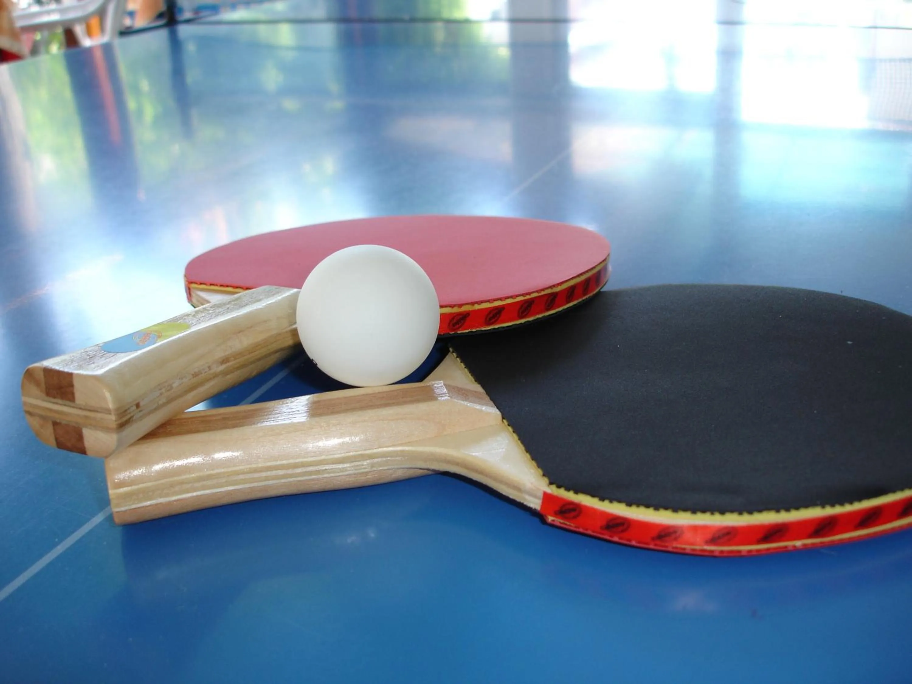 Table tennis in Hotel Apis