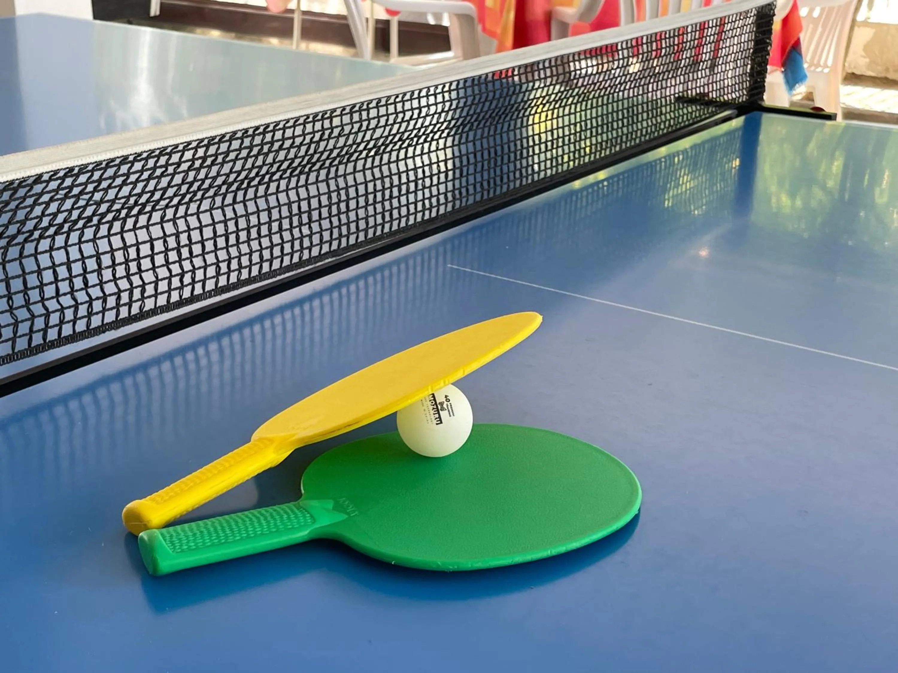 Table tennis in Hotel Apis