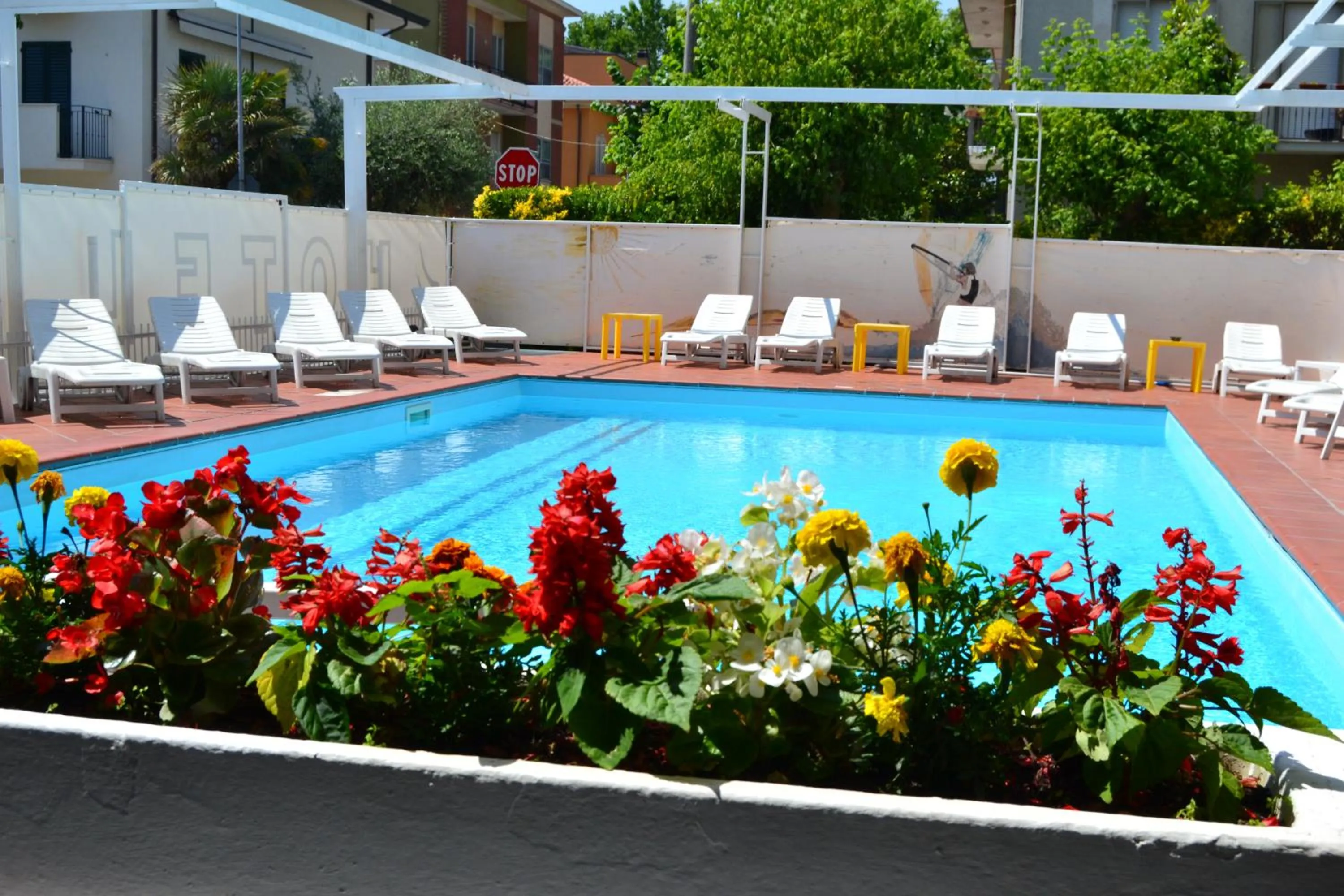 Swimming pool in Hotel Apis