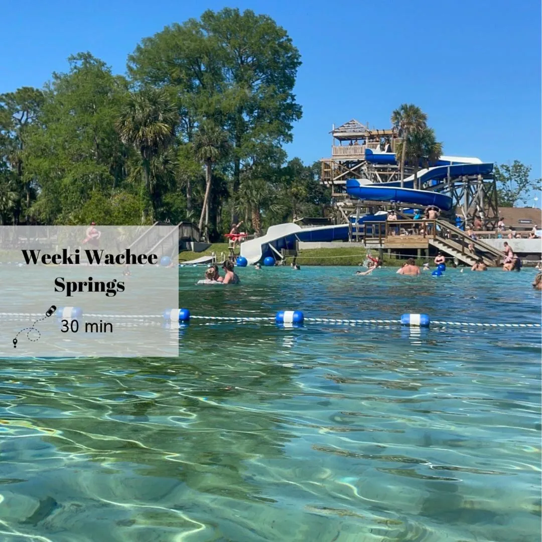 NEW Cozy House 5 Min Three Sisters Springs