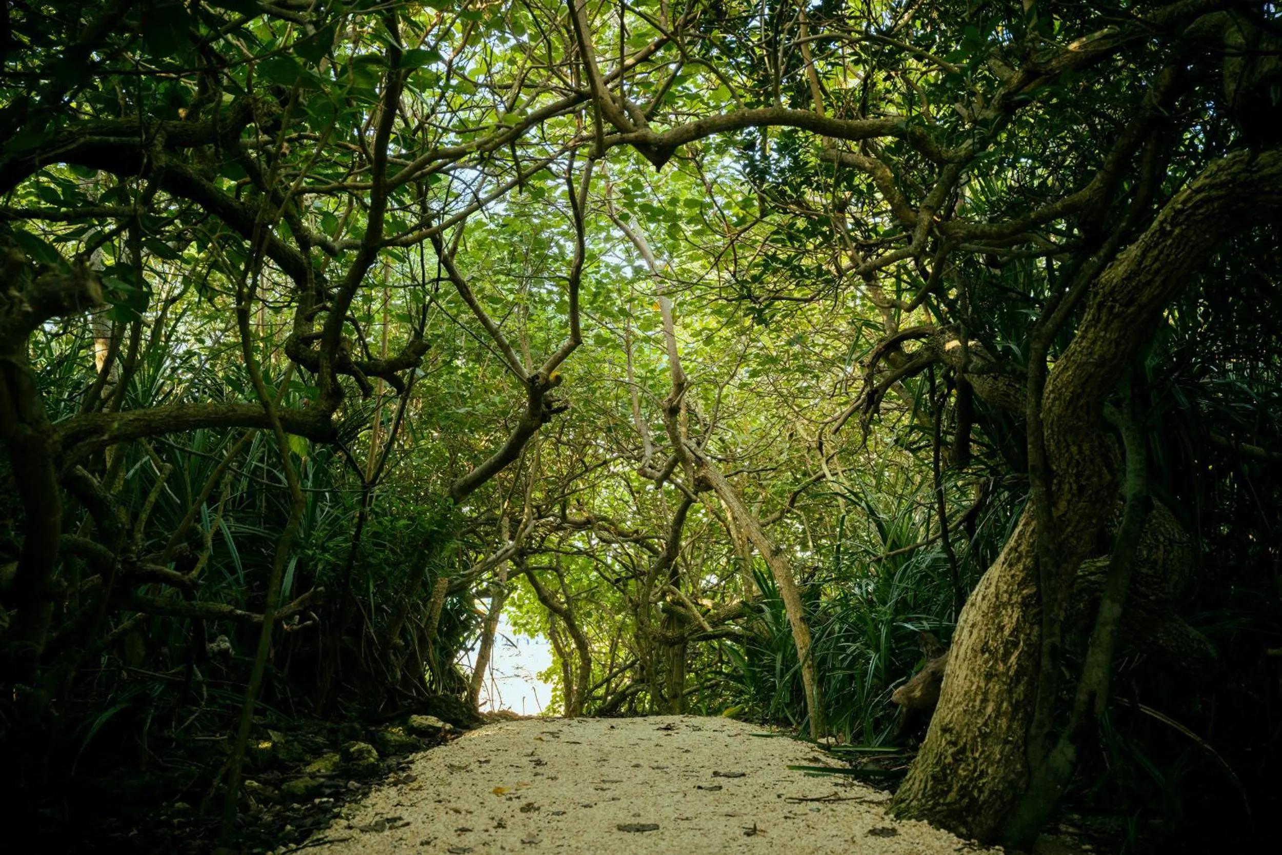 Nearby landmark in Nest Hotel Ishigaki Maesato Beach
