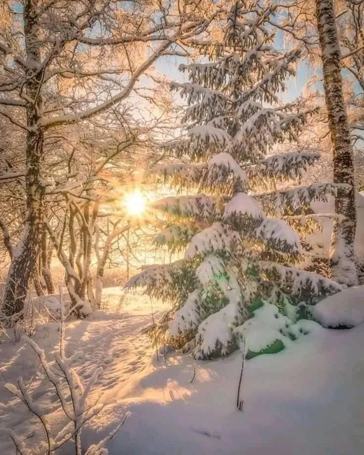 Natural landscape in Chalet Esprit